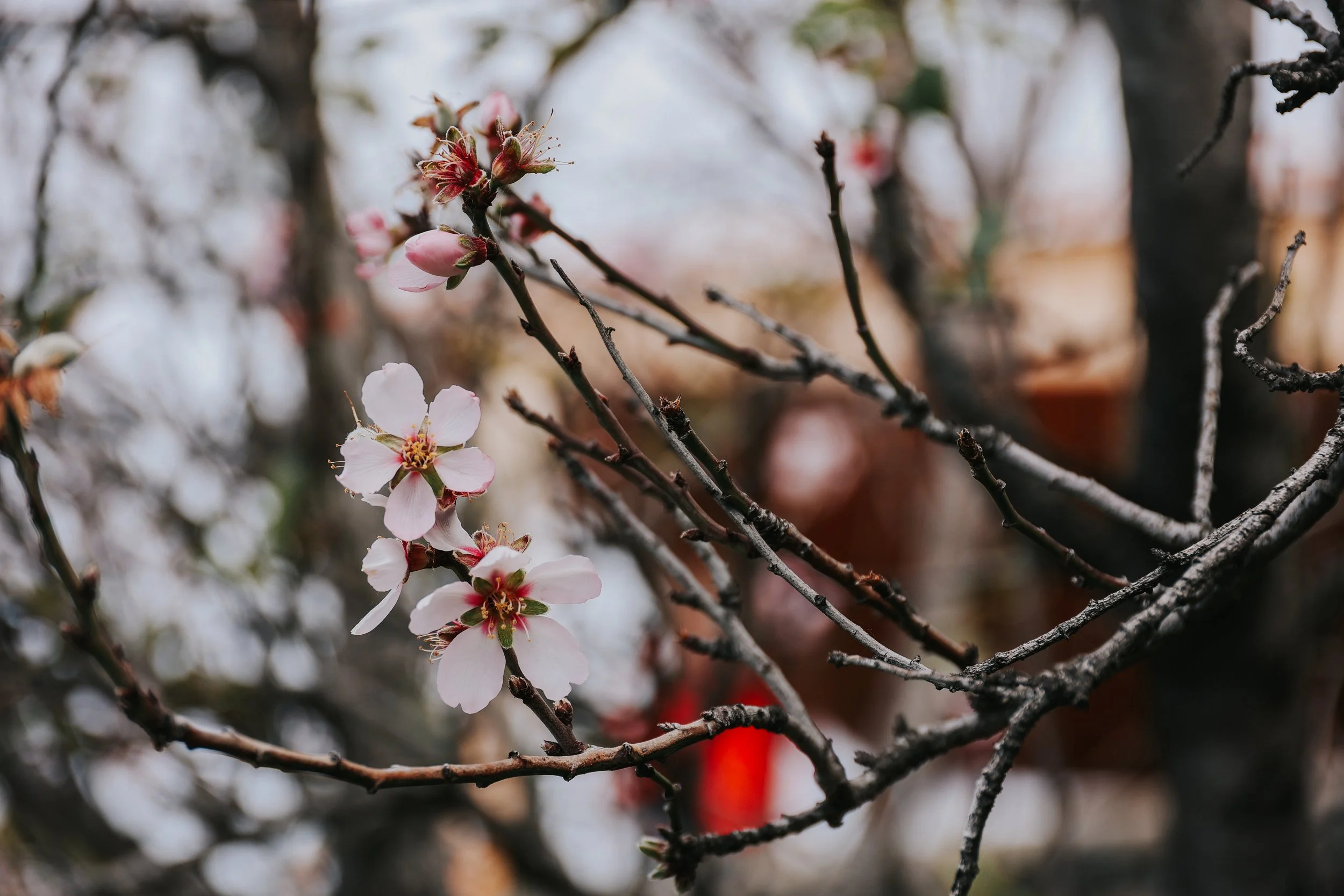 YAIZA CASTILLO - 2025-79.jpg