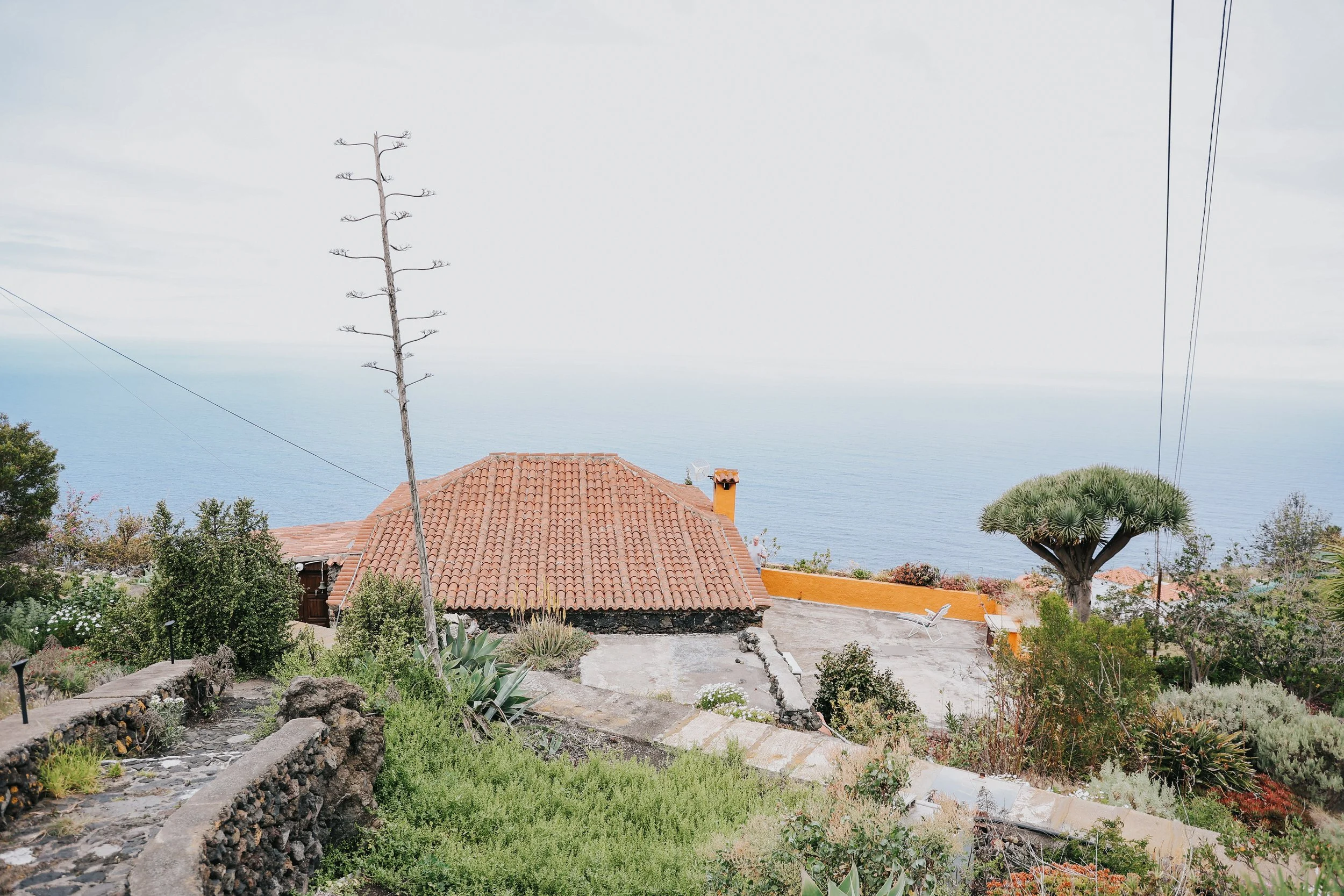 YAIZA CASTILLO - 2025-86.jpg