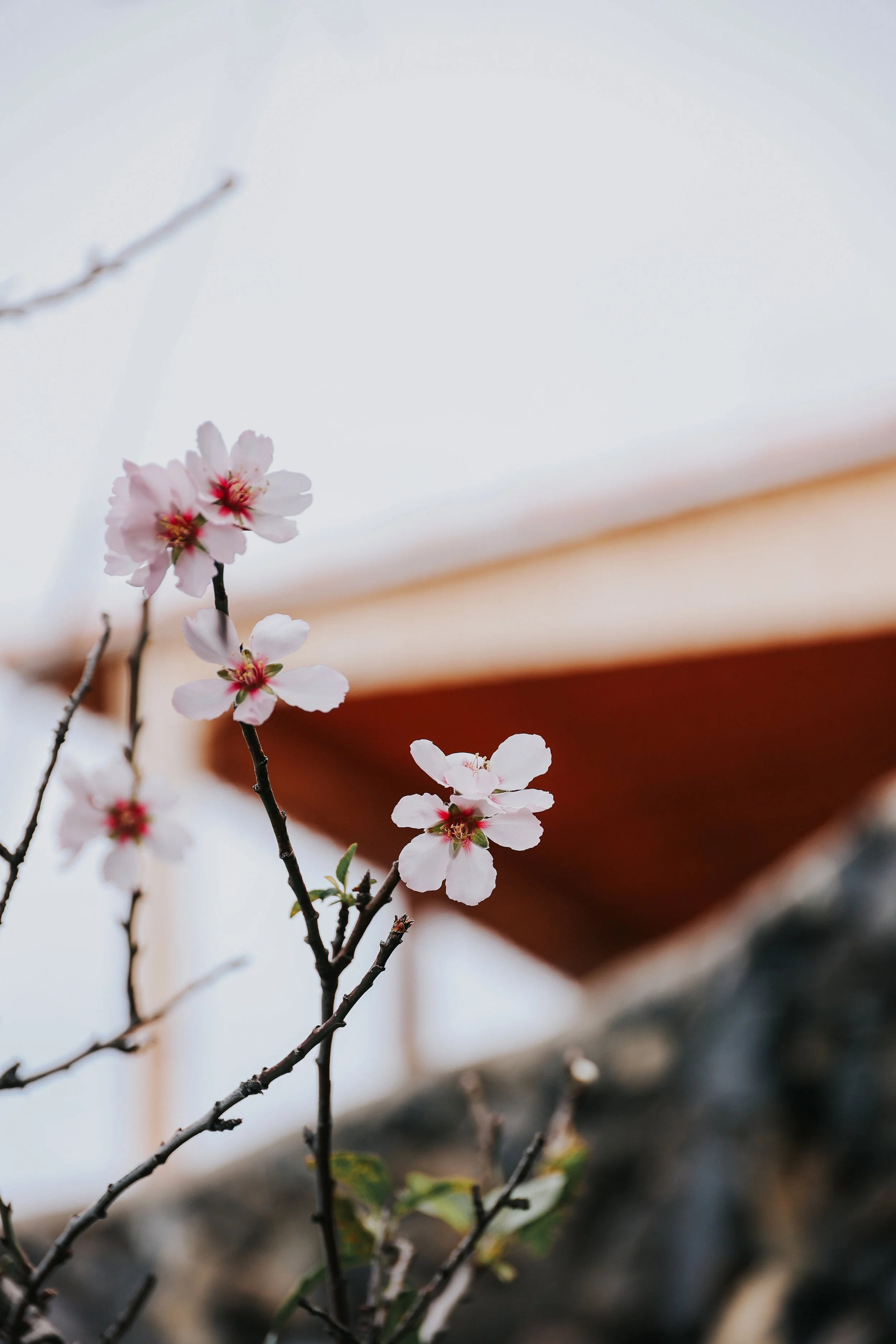 YAIZA CASTILLO - 2025-80.jpg