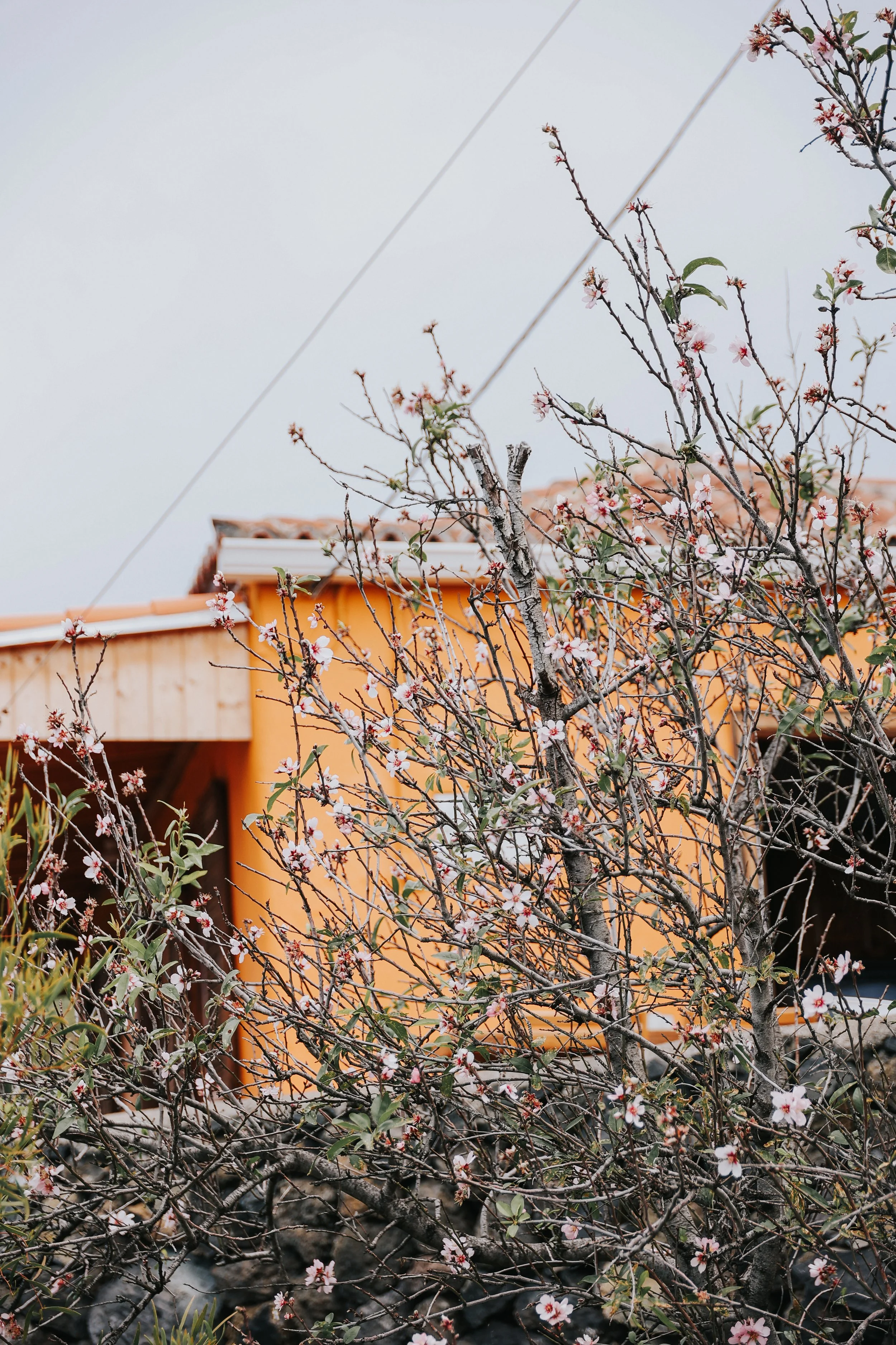 YAIZA CASTILLO - 2025-74.jpg