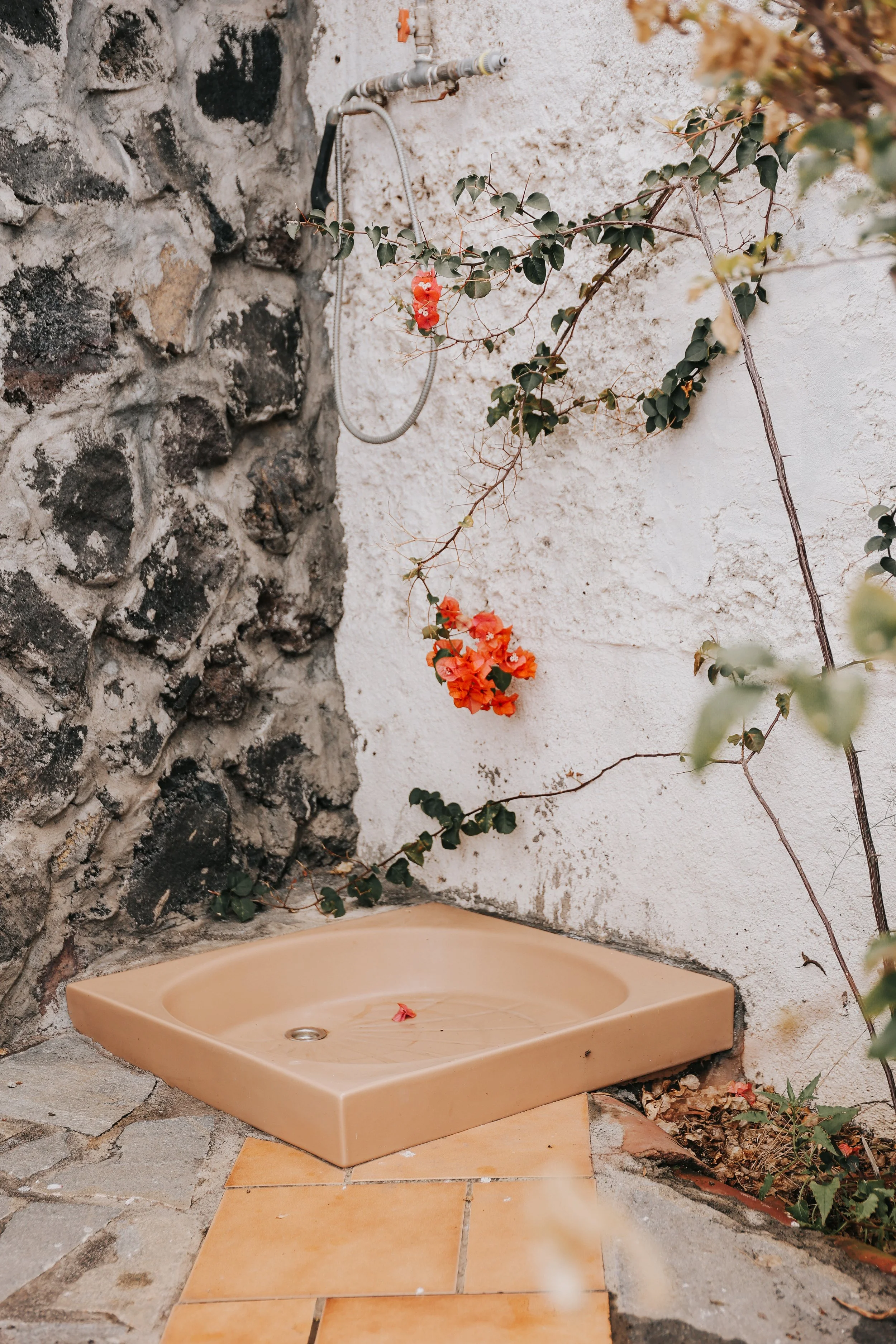 YAIZA CASTILLO - 2025-2.jpg