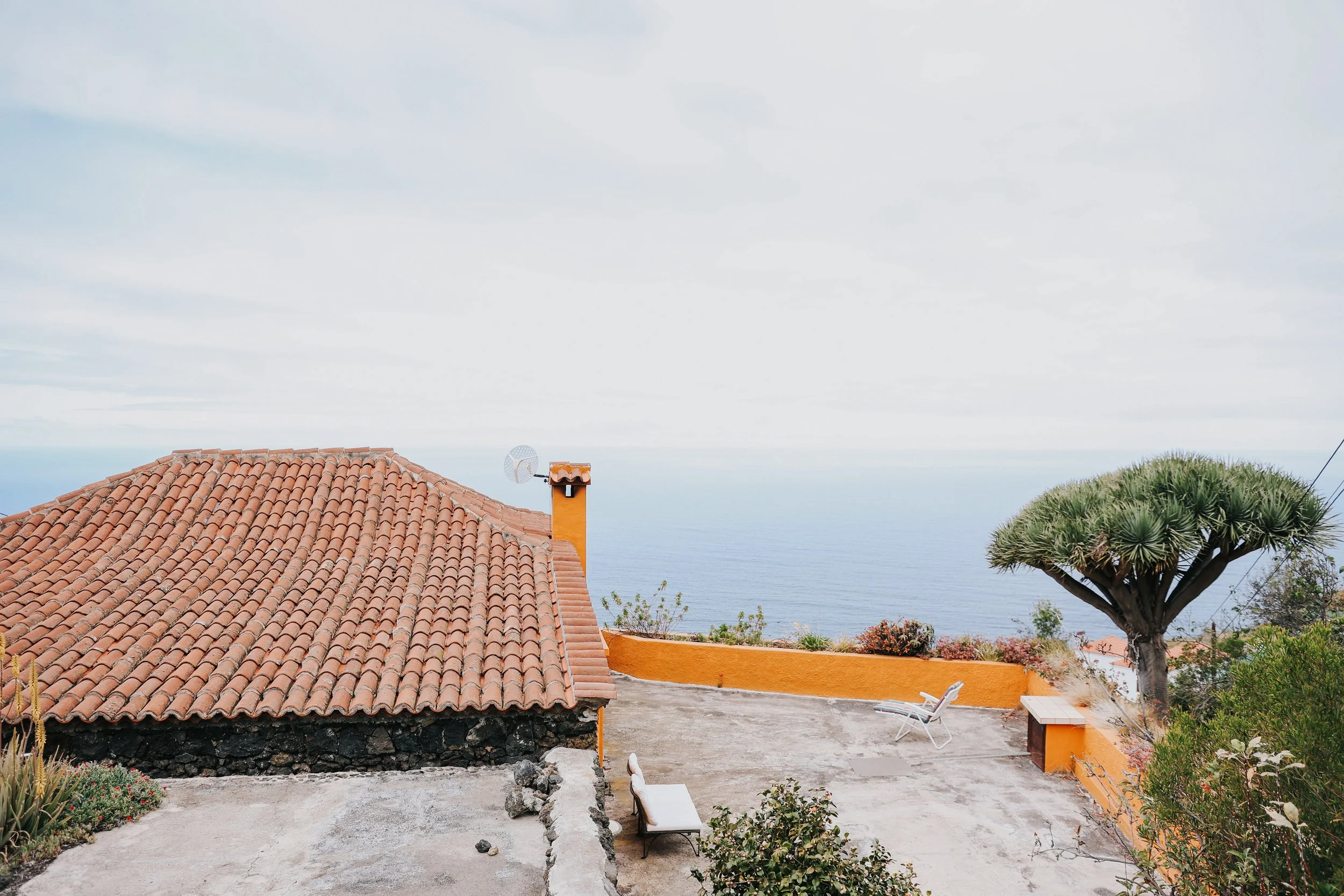 YAIZA CASTILLO - 2025-83.jpg