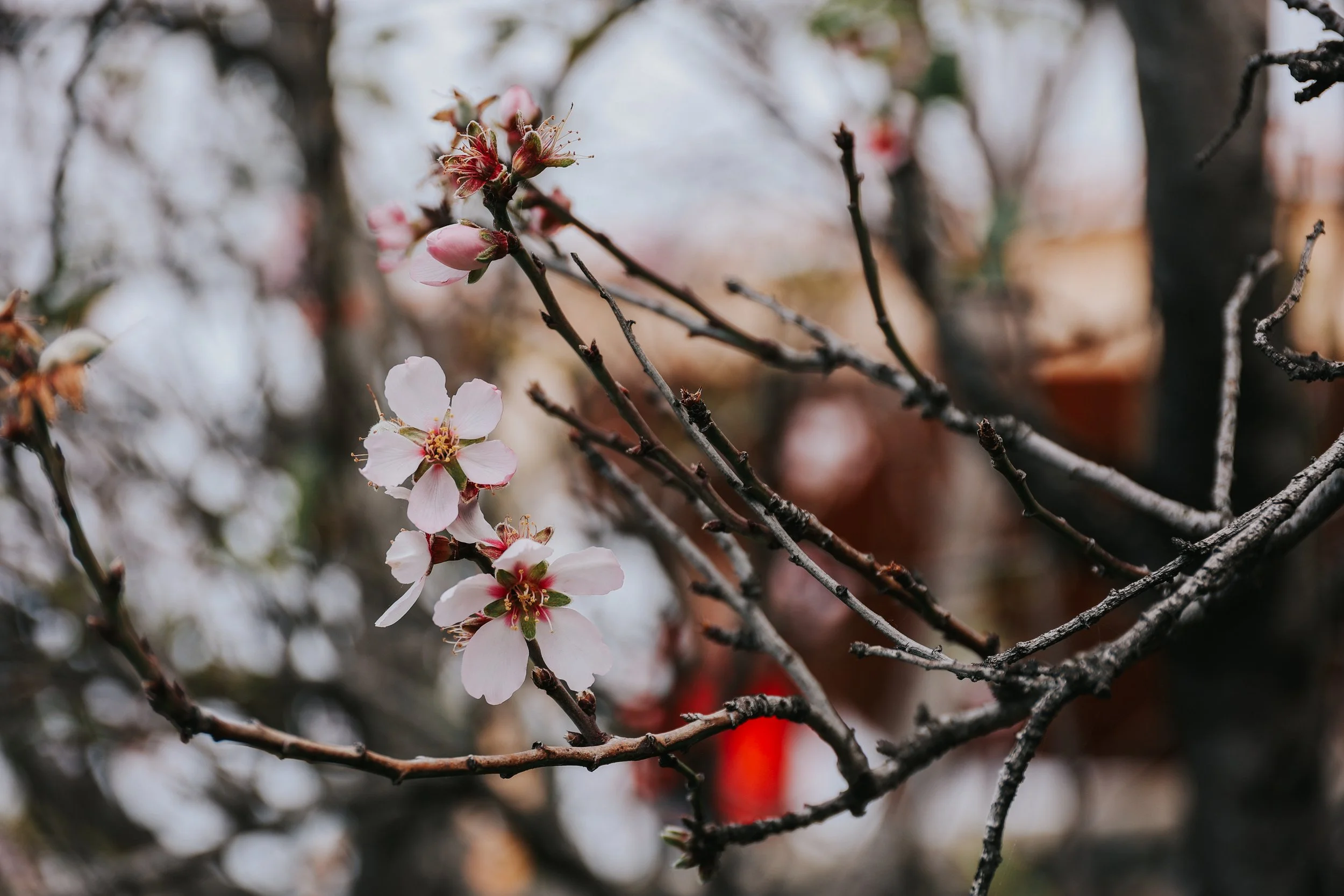 YAIZA CASTILLO - 2025-78.jpg