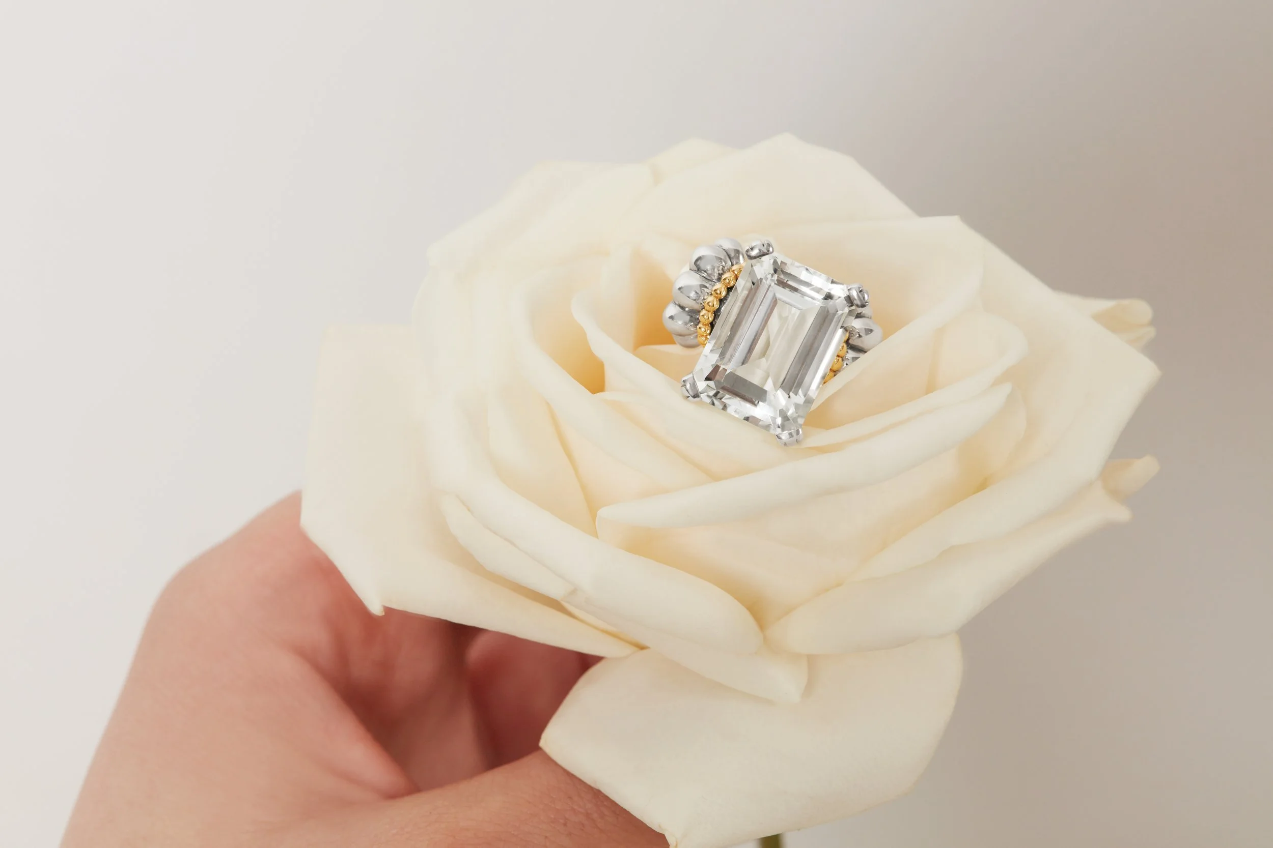 A white rose with a large rectangular diamond ring resting on its petals.