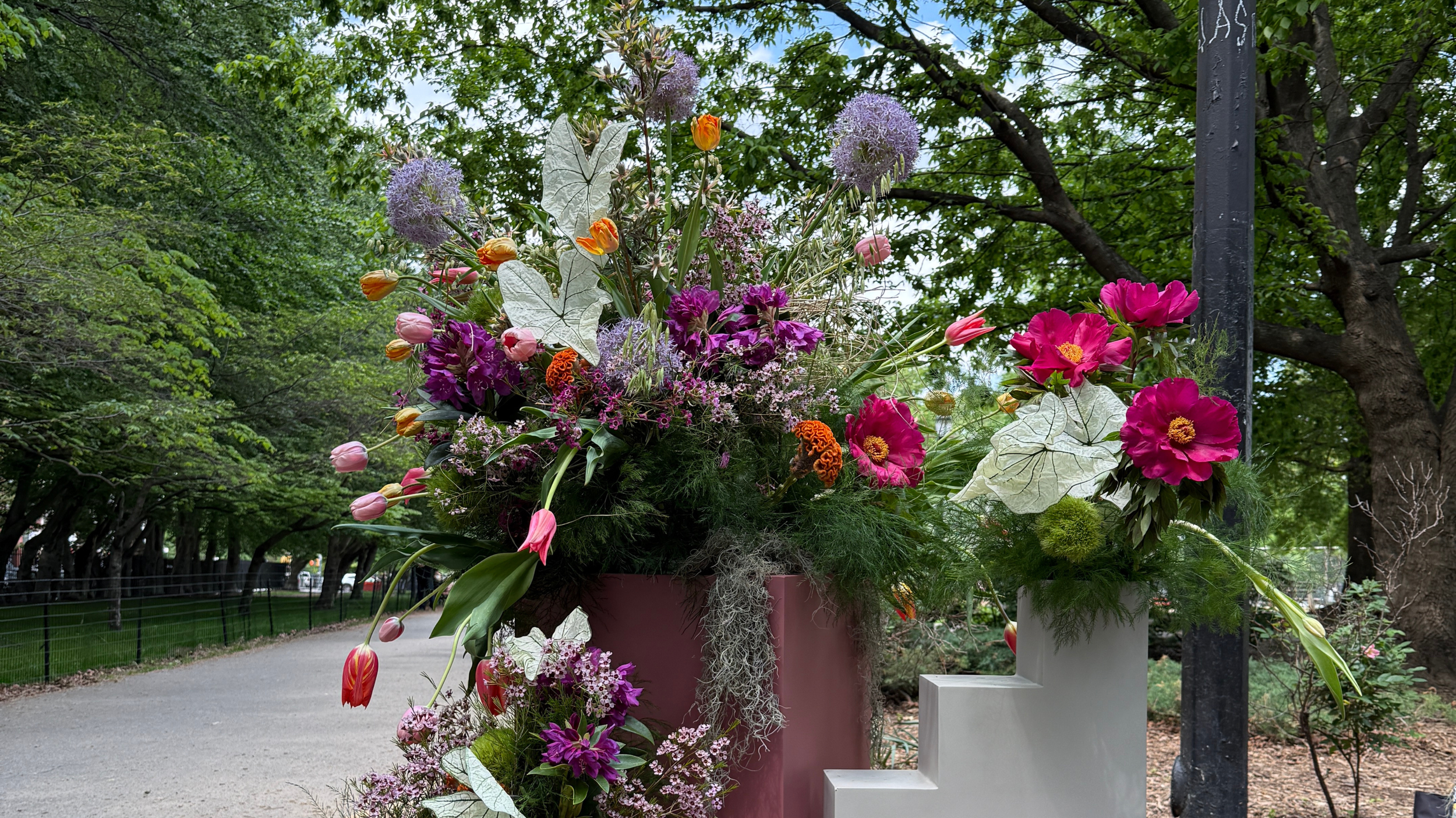 PIECES X STUDIO JONES