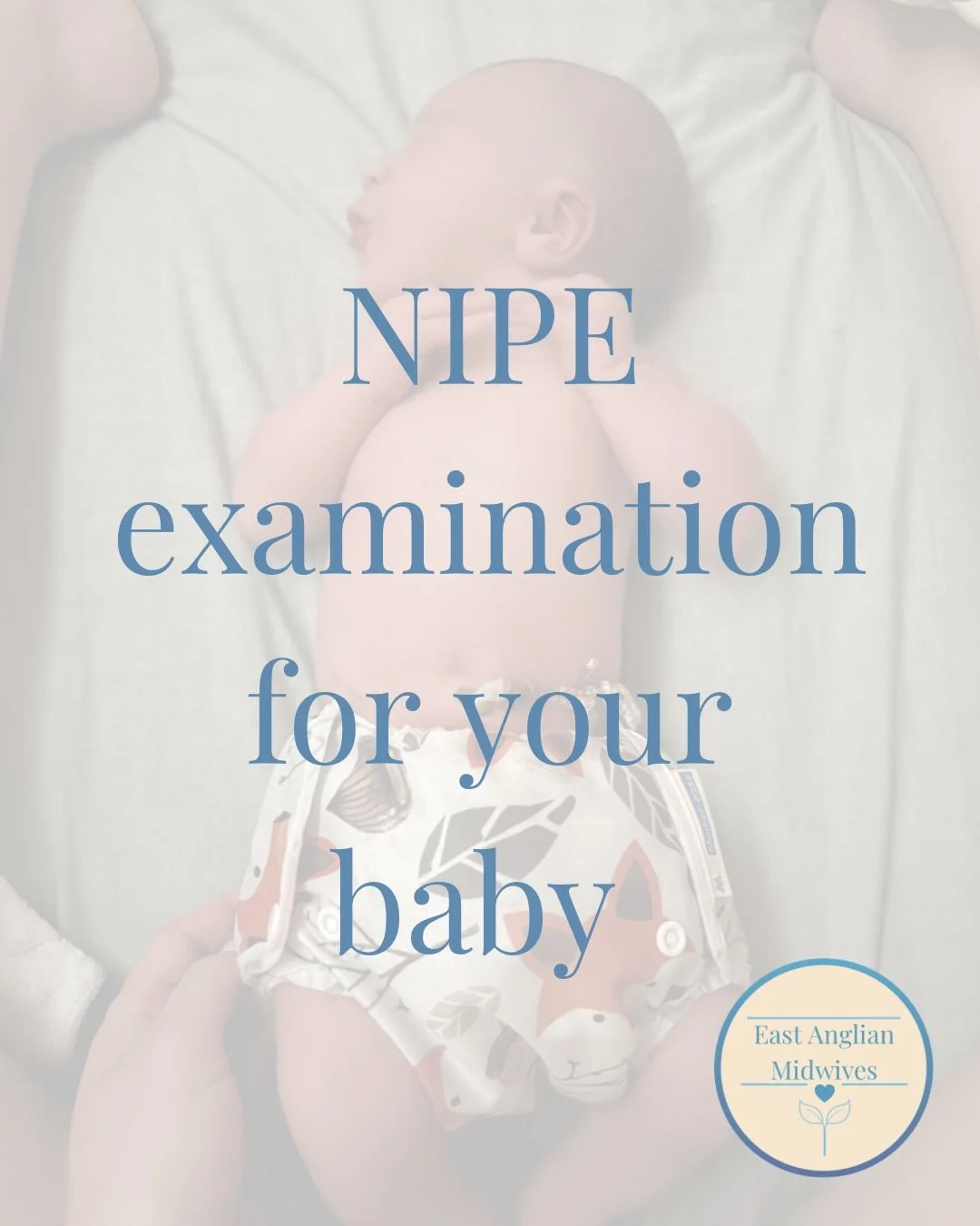 The NIPE examination&hellip; 

NIPE&rsquo;s are offered to all of our clients investing in our birth packages, as our lovely Kirsti is qualified in undertaking these. 

Have any questions about our care and how we can support you? Send us a DM to fin
