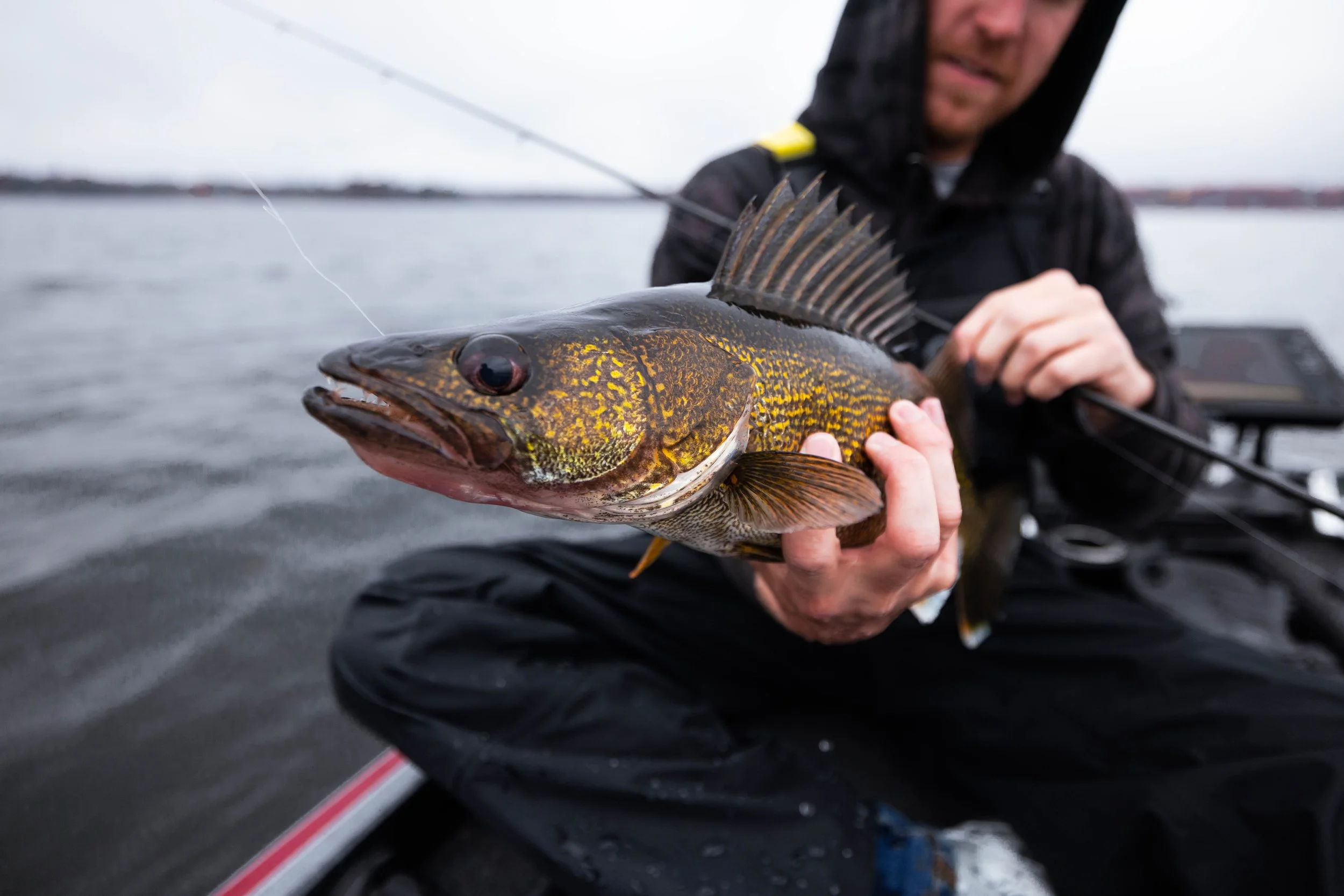 Person holding a freshly caught fish on a boat in a body of water, with a digital display and overcast sky in the background.