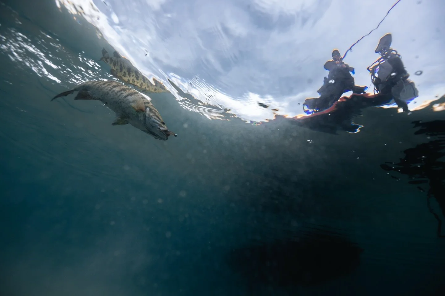 Some clicks are better without the instagram crop&hellip;