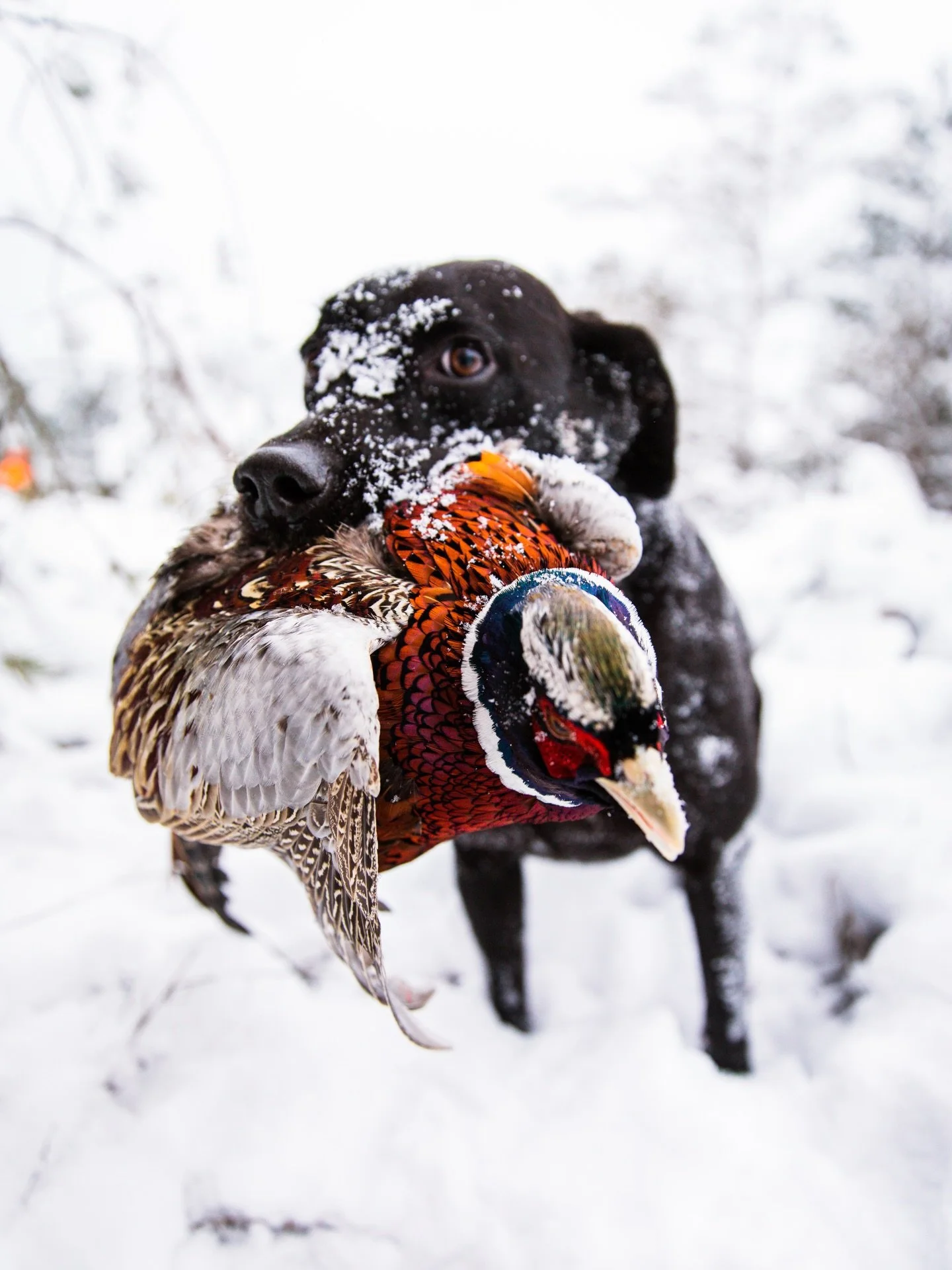 Success in the field&hellip;