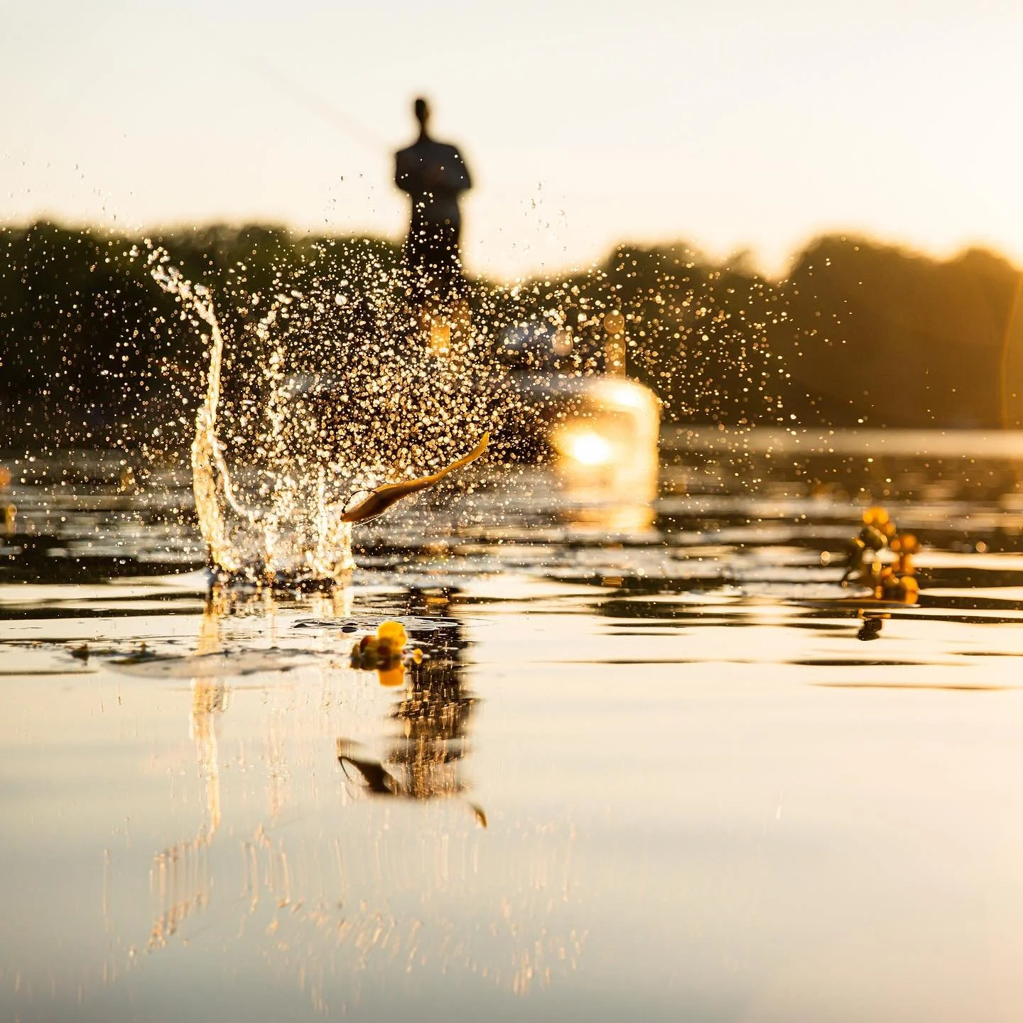 Sunset skipping with @kevinvandamfishing