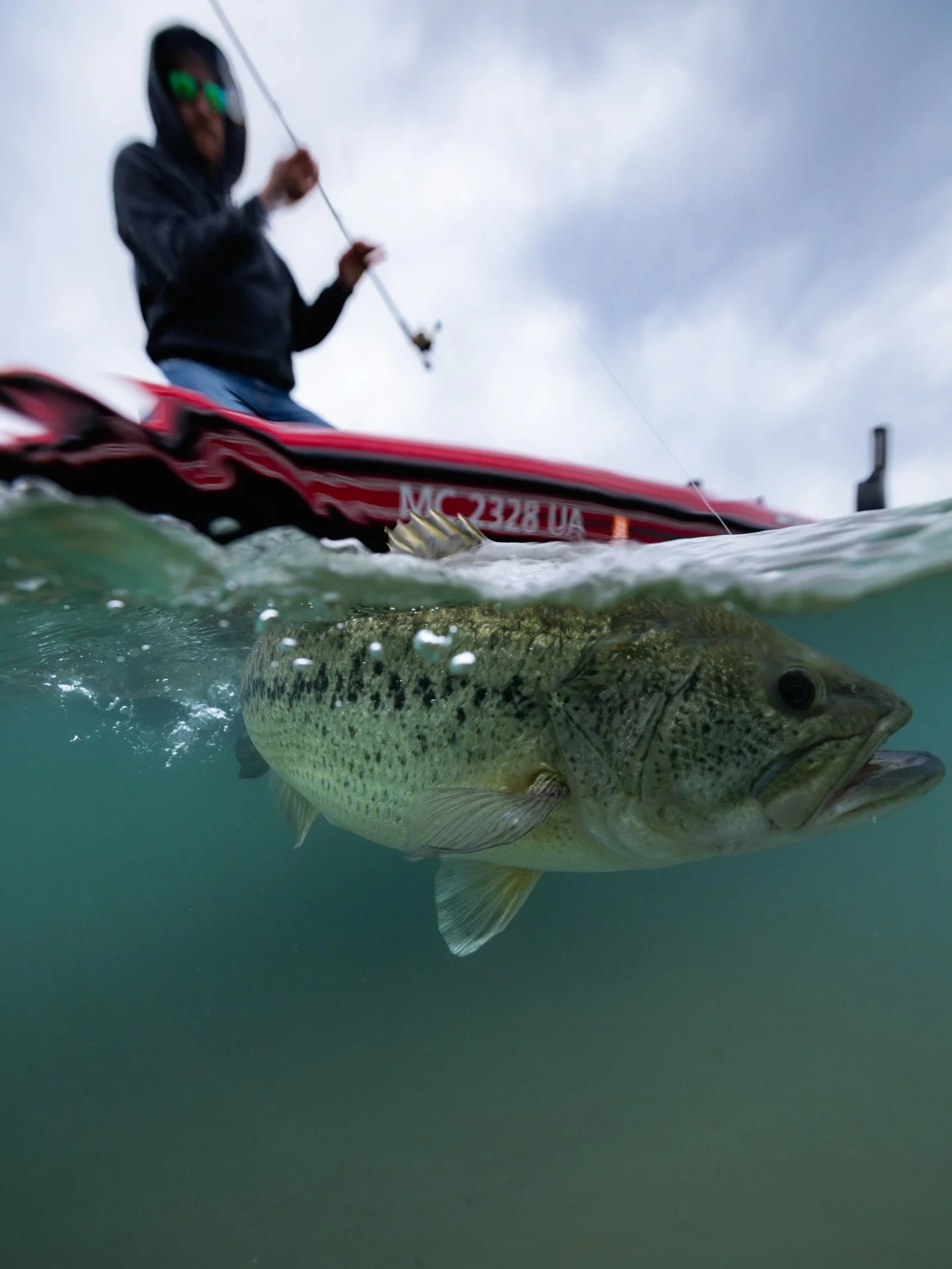 Hooked up with a biggin!