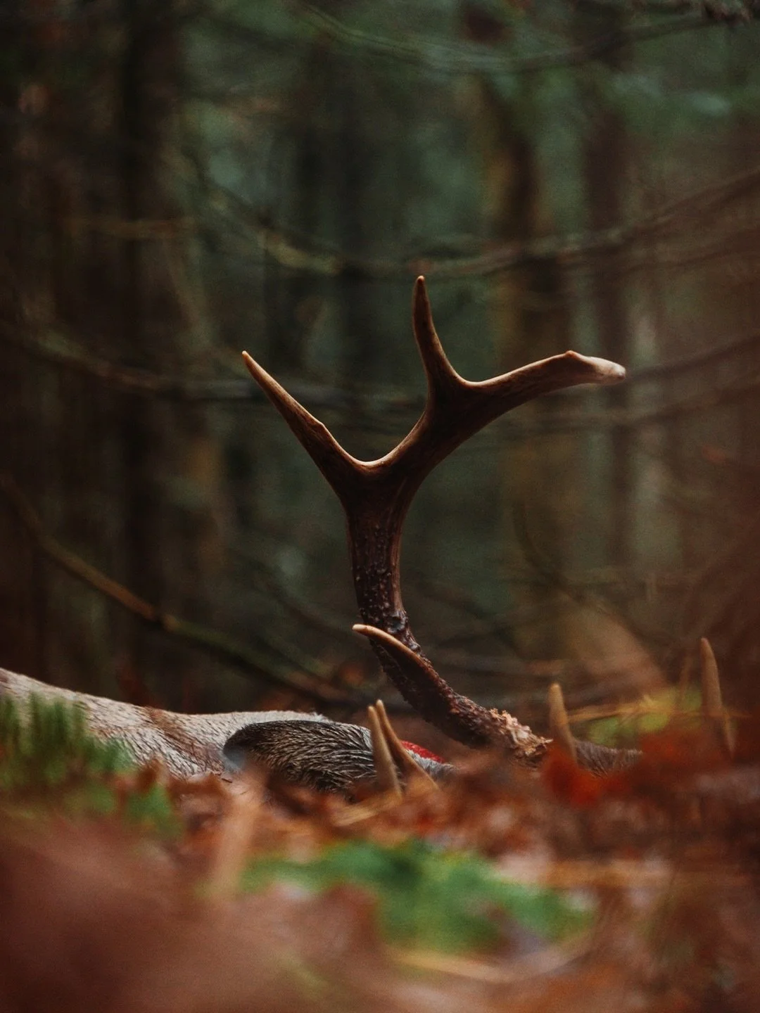 We live in the world that we work. Generally you&rsquo;ll find us on the water but if we&rsquo;re not on a boat you&rsquo;ll find us deep in the woods capturing new stories or making our own.