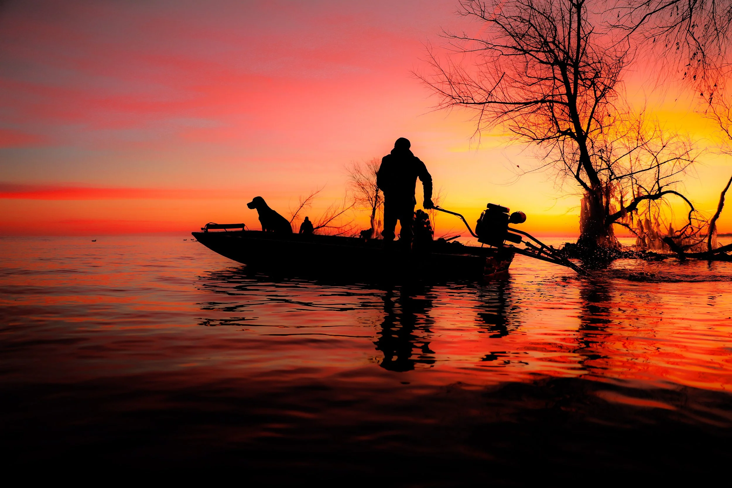 Silhouetted person in a boat with two dogs during sunset, with a tree and water reflections.
