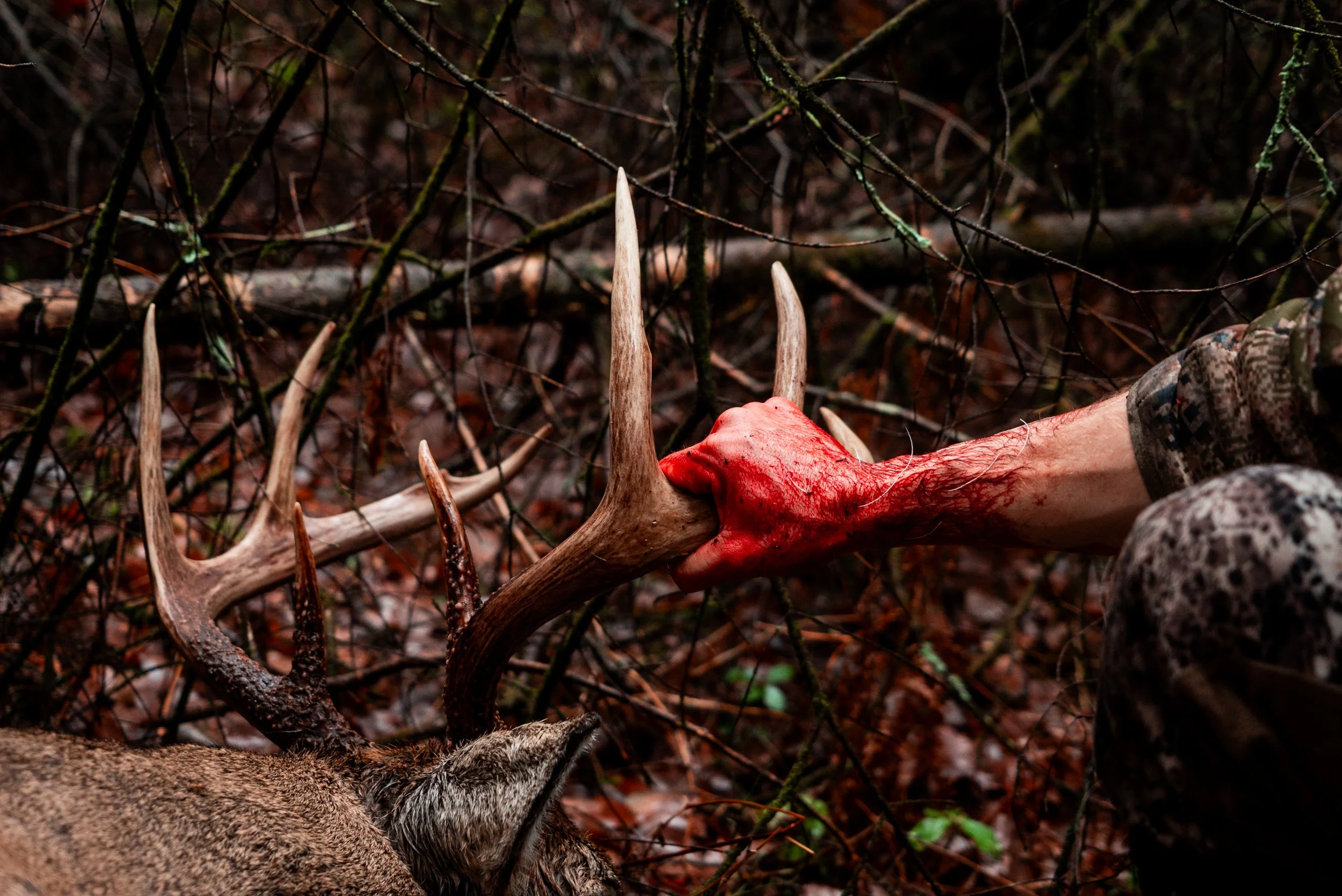 A person dressed in camouflage holding a bloody deer antler in a wooded forest area.
