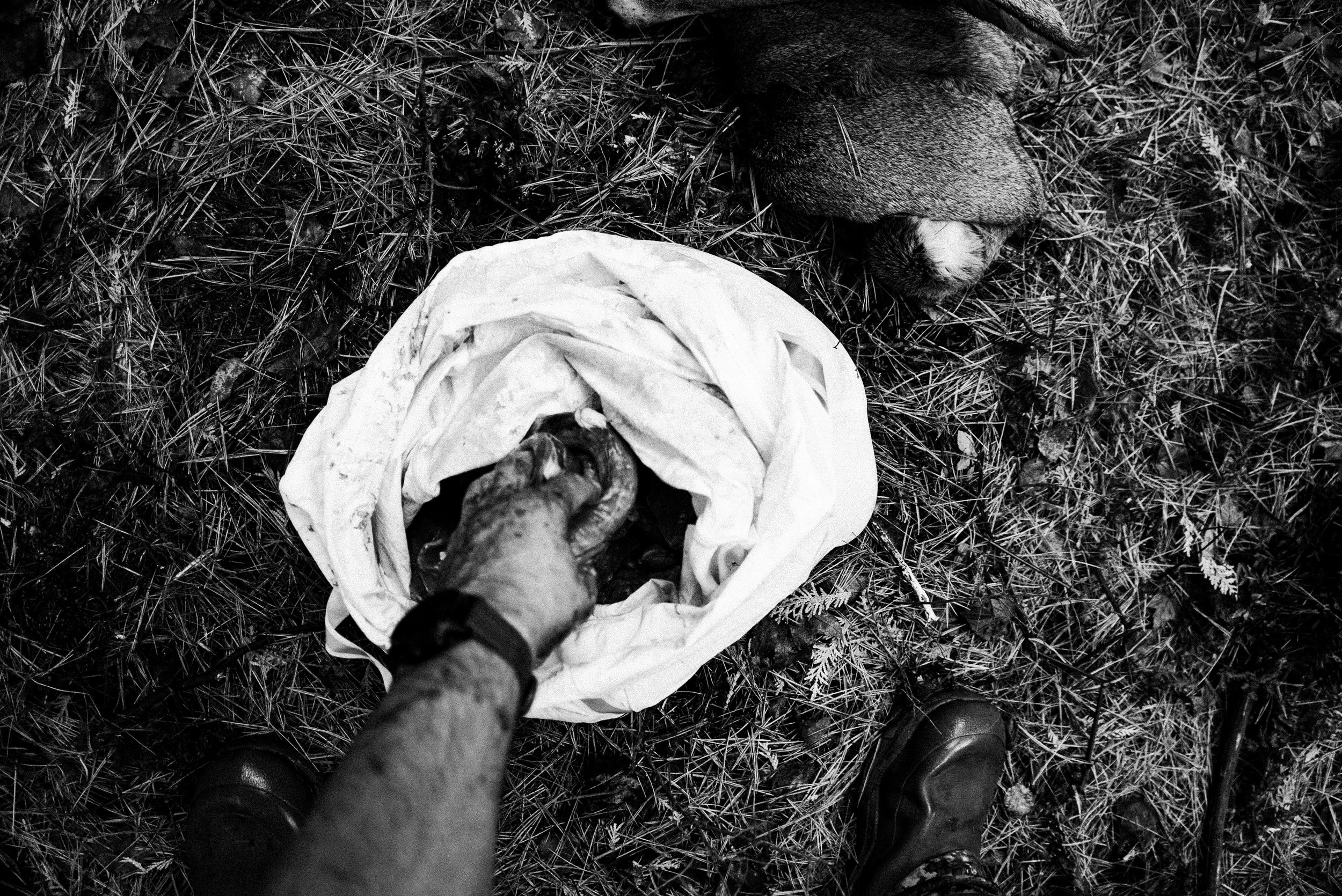 A person’s hand reaching into a bag of what appears to be a dead animal, with dry grass and foliage on the ground, a dog lying nearby, and the person's boots visible.