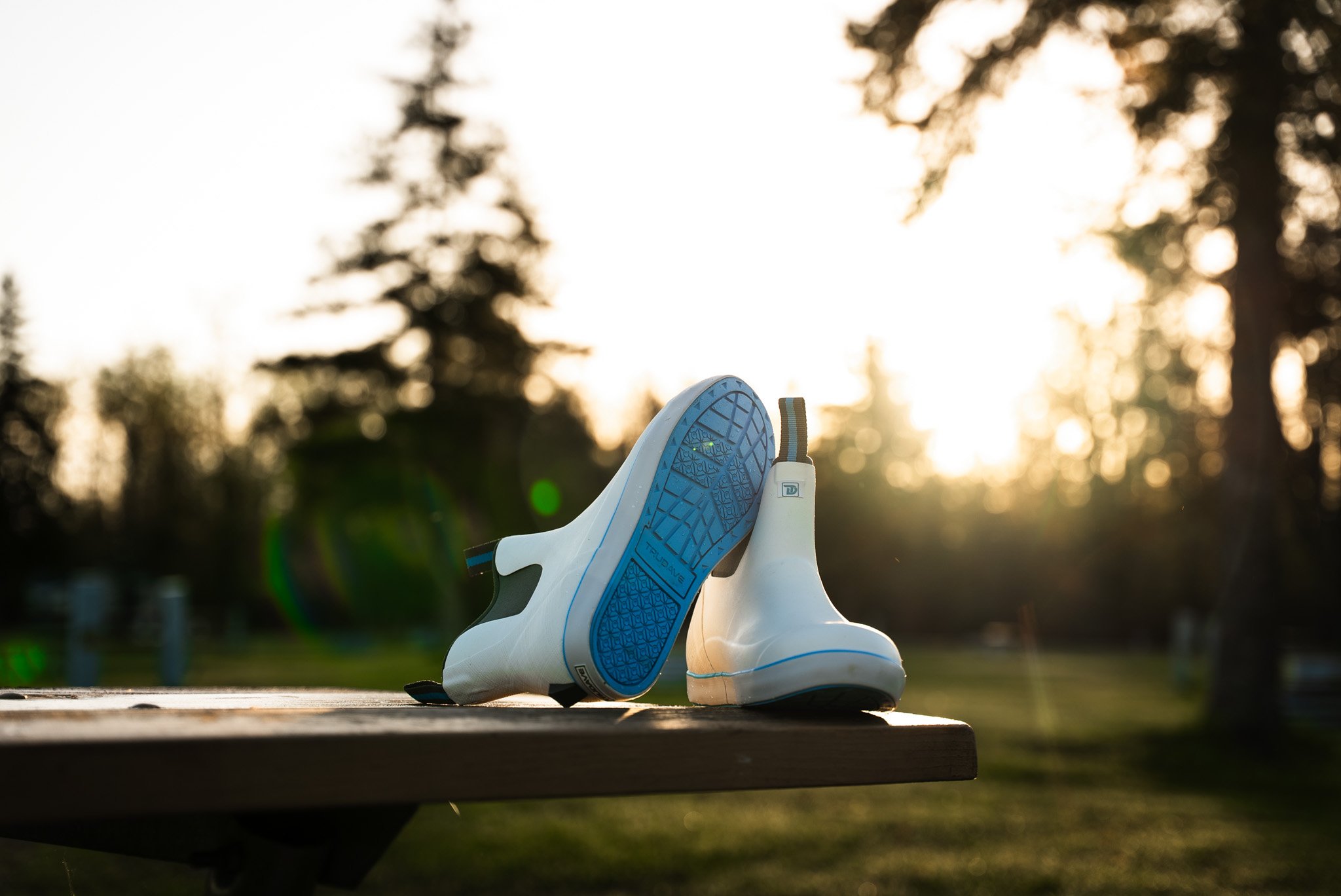 A pair of white and blue ice skates resting on a wooden surface with a blurred outdoor park background and sunset lighting.