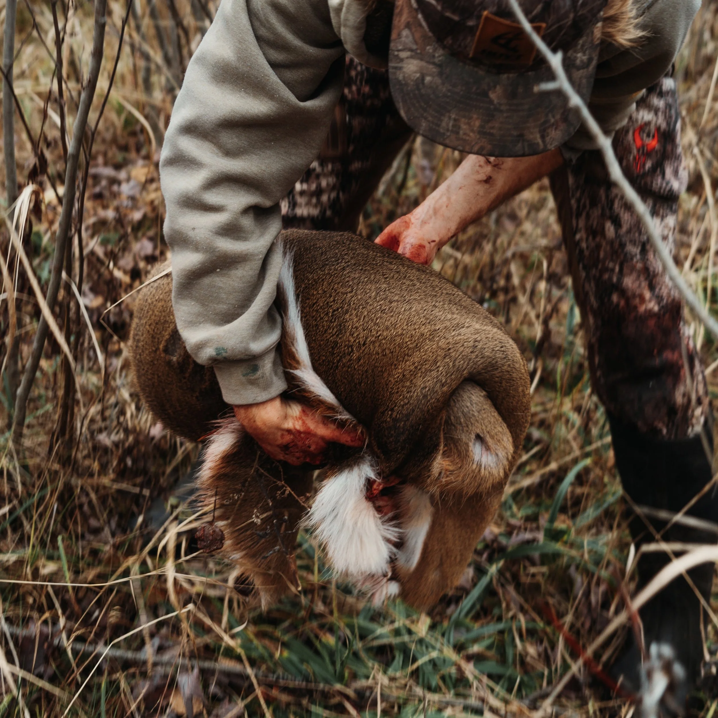 Person holding a dead rabbit in a field with tall grass and dried plants.
