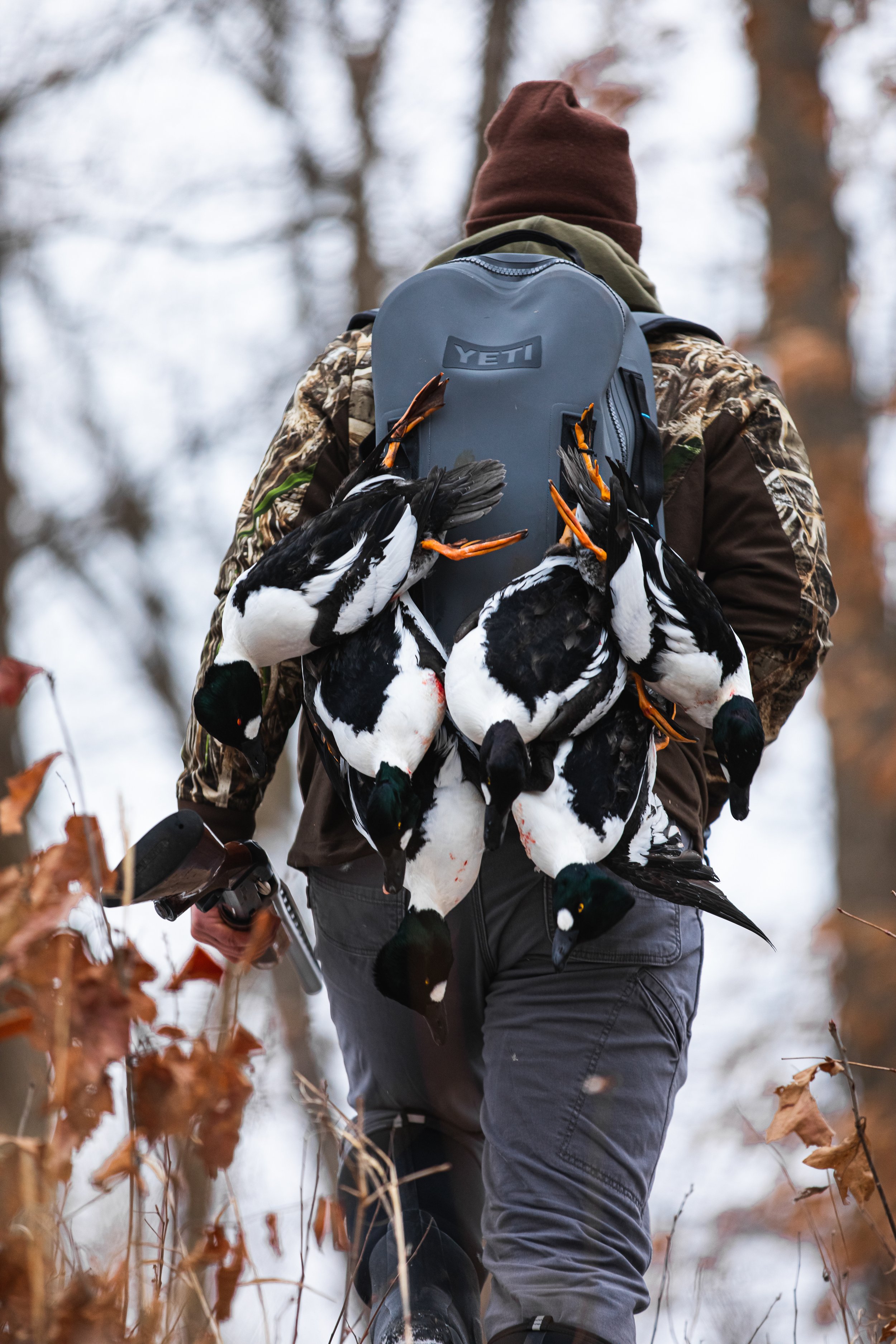 Person carrying a backpack with dead ducks hanging from it in a wooded area.
