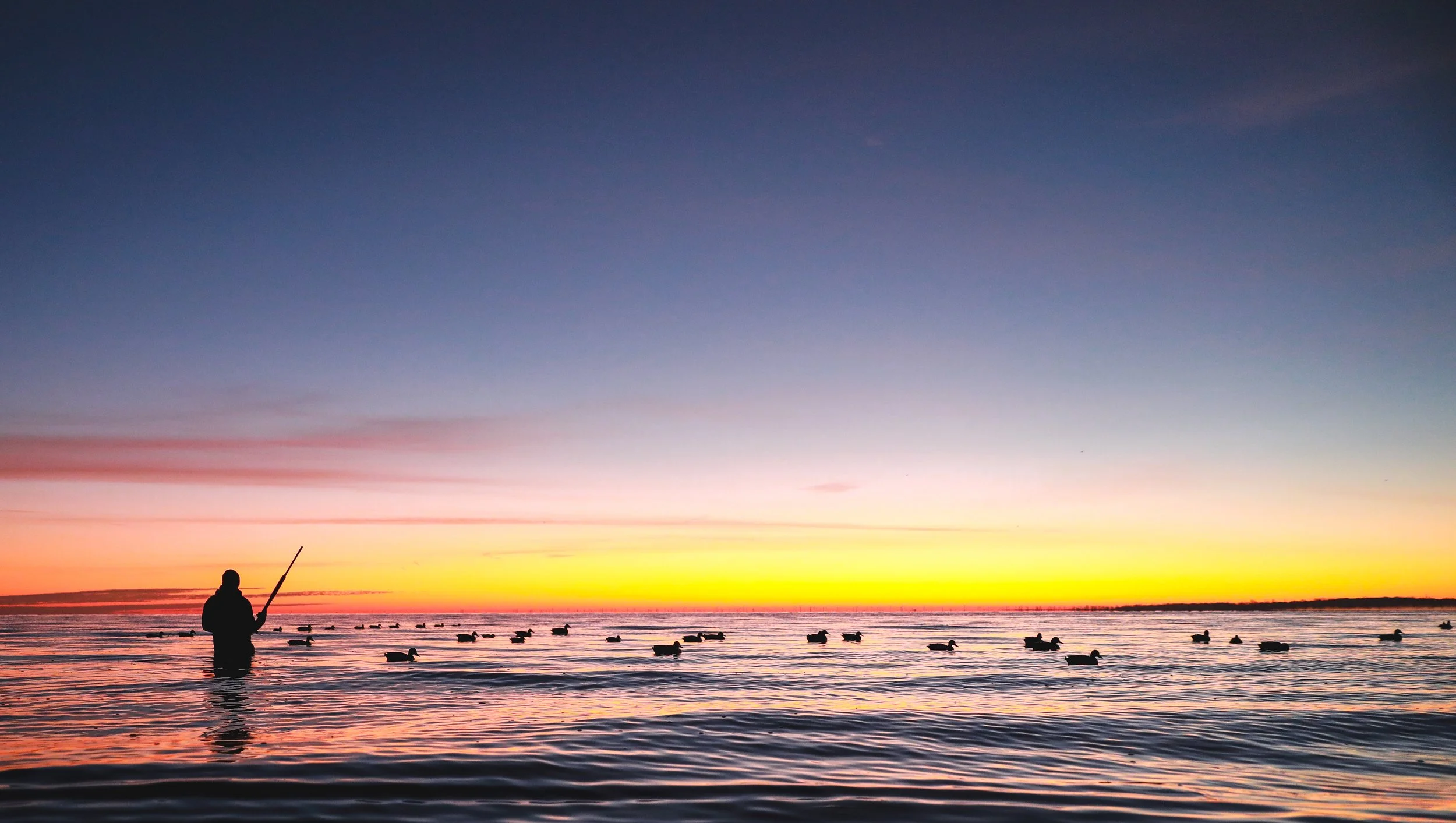 Silhouette of a person fishing in a body of water during sunset with ducks swimming around.