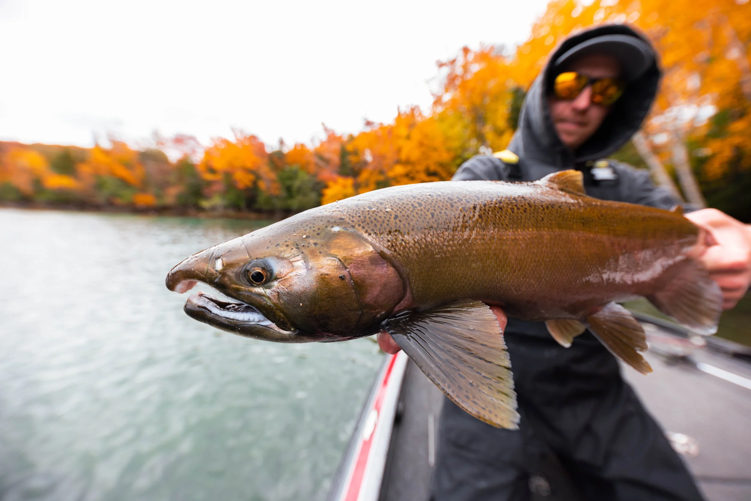 Person holding a large fish on a boat with autumn trees in the background