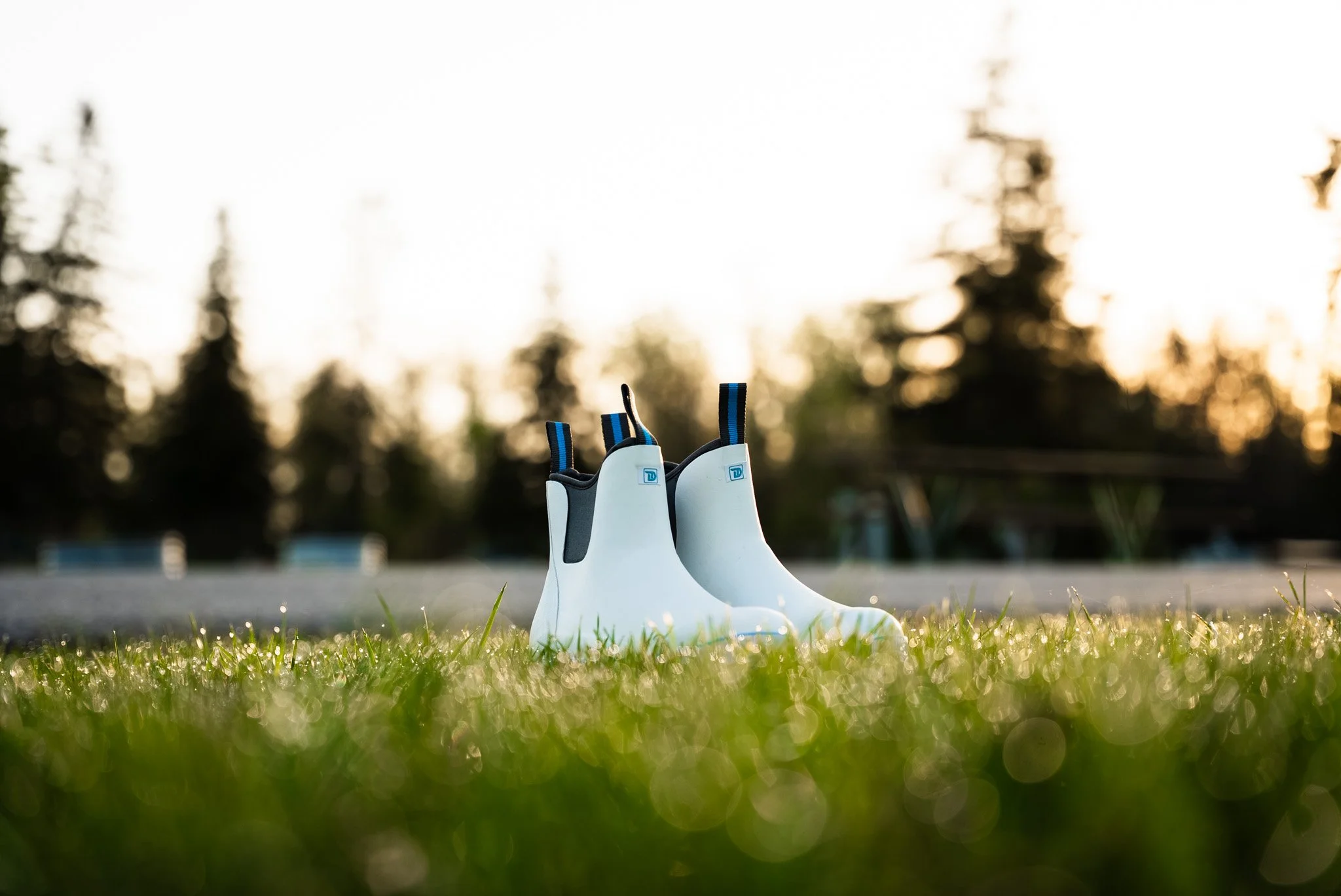 A pair of white rain boots with black and blue striped handles standing upright on a grassy field at sunset, with blurry trees and sunset sky in the background.