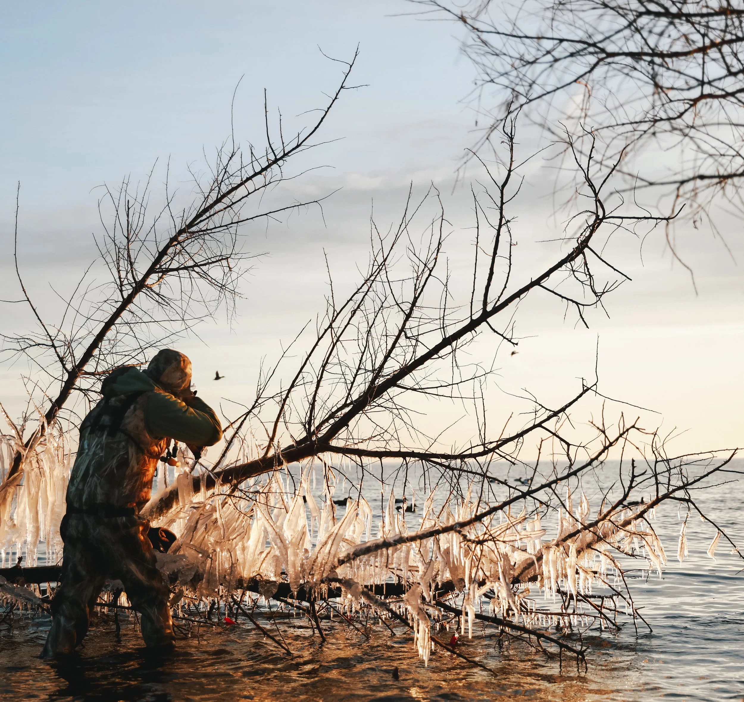 Person in winter clothing standing in water next to a partially submerged tree covered in ice, with the sun setting or rising over a body of water.