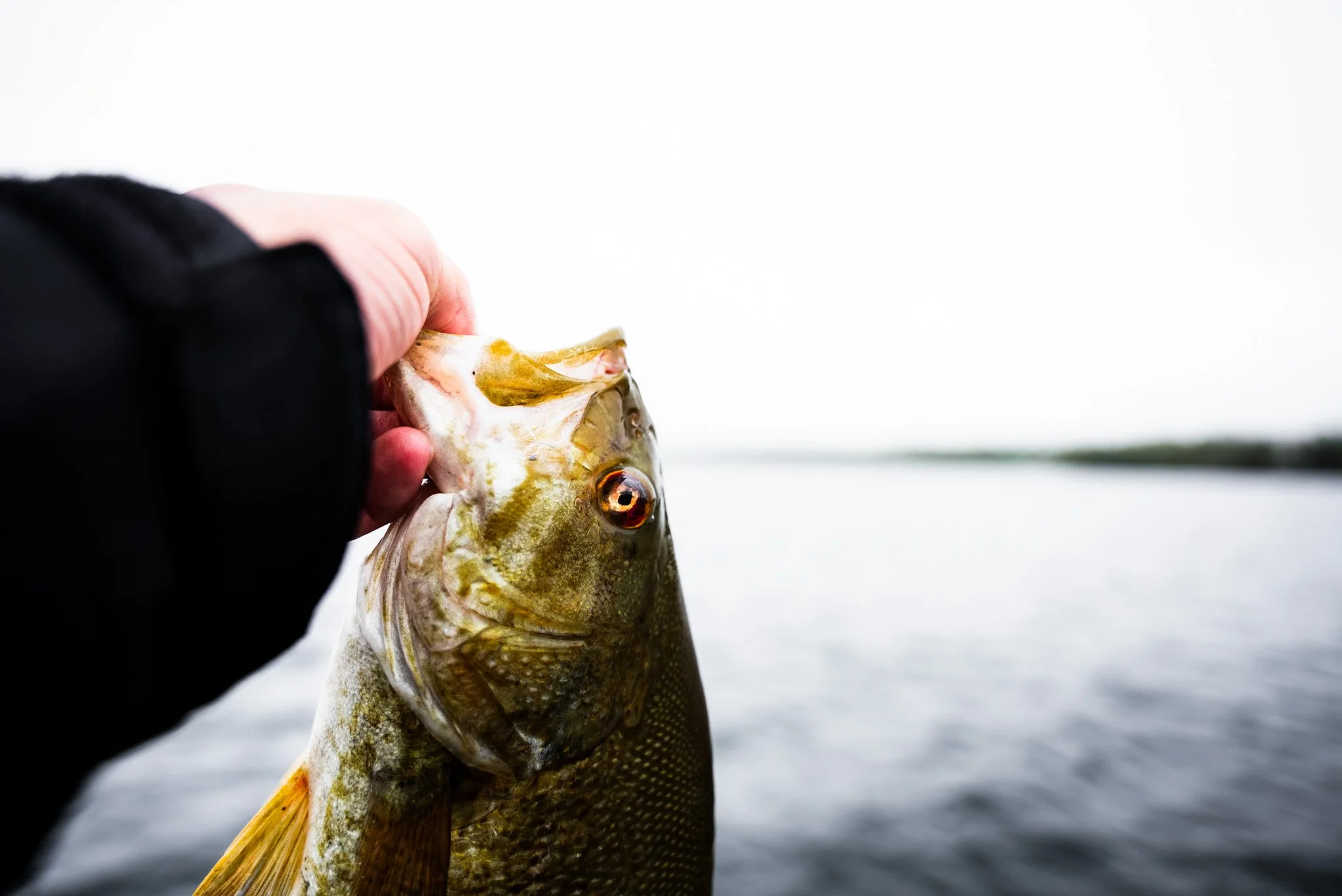 Person holding a fish over a body of water on a cloudy day.