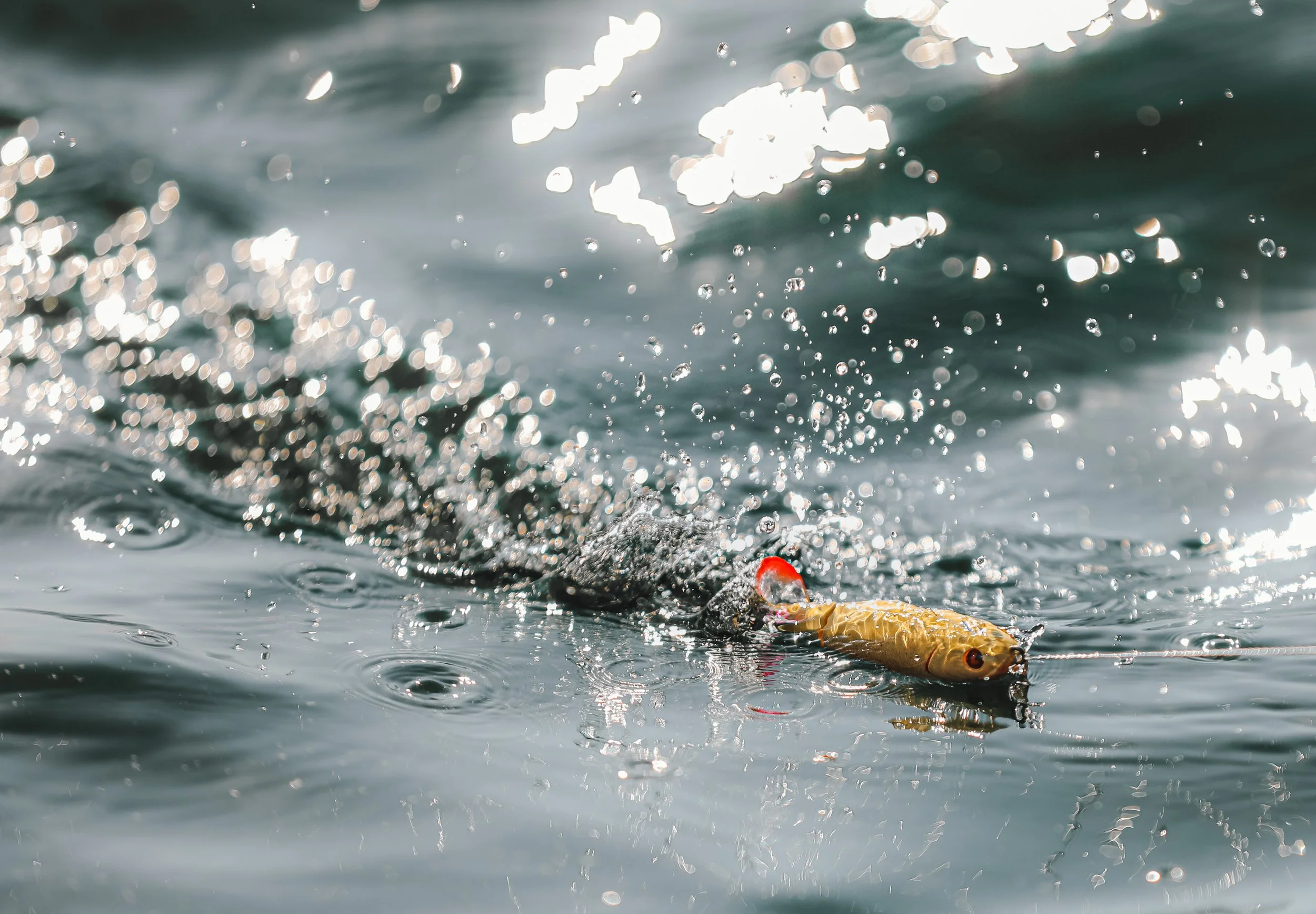 A fishing lure floating on water with ripples and splashes.