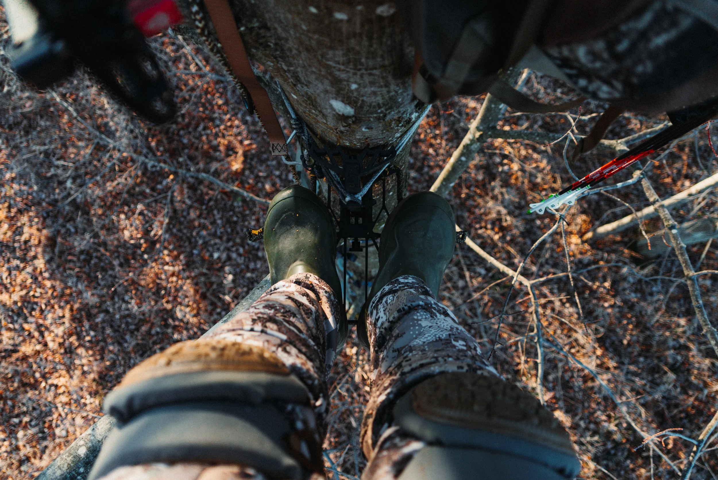 View from the top of a tree looking down at a person wearing camouflage pants and green rubber boots, standing on a tree branch. The person is secured with climbing gear, and there are other tree branches visible around.