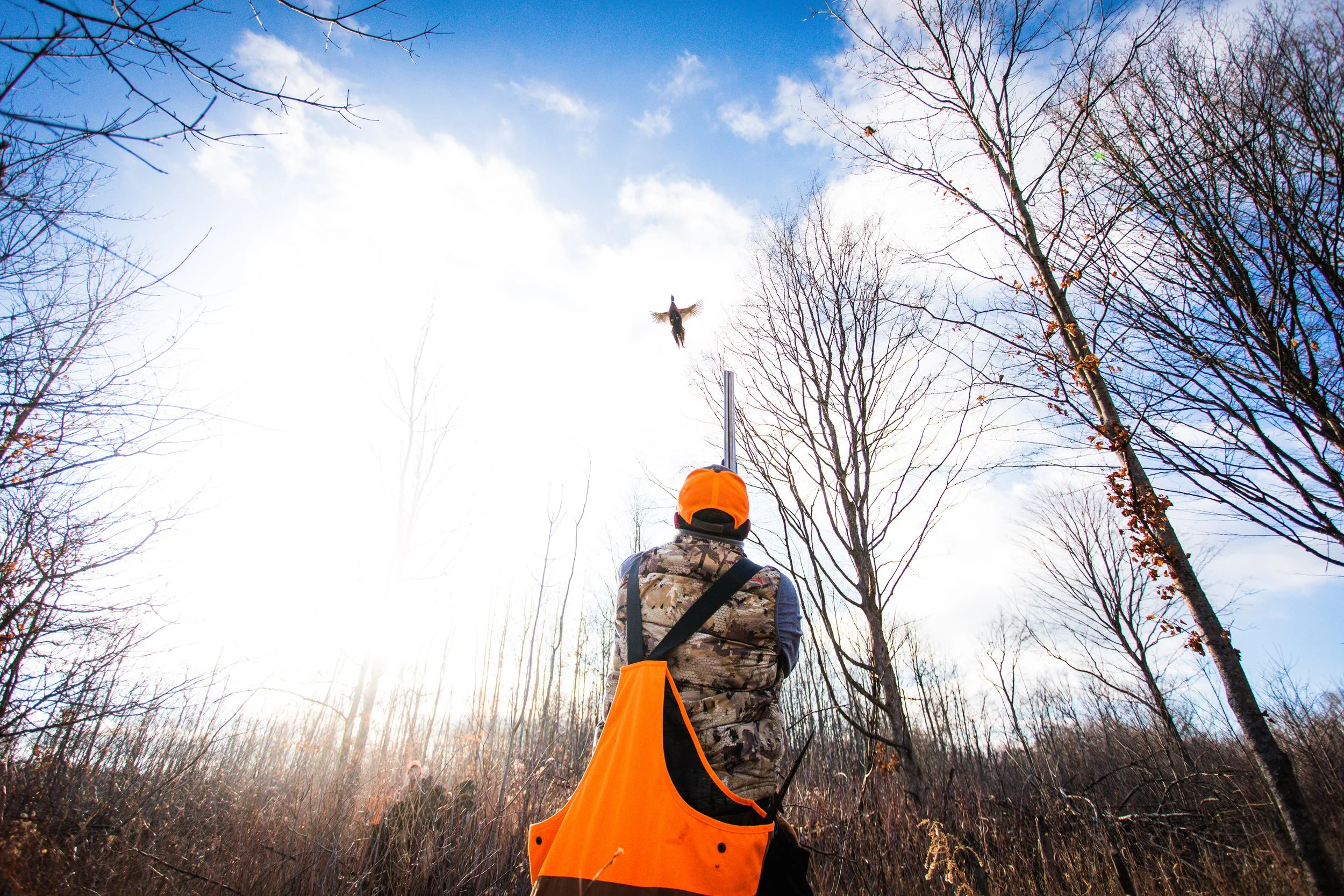 A person wearing an orange cap and vest points a shotgun into the sky, aiming at a bird flying overhead in a wooded area with bare trees and a partly cloudy sky.