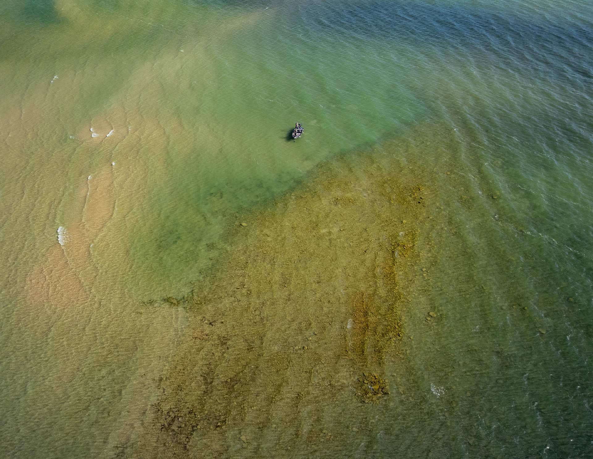An aerial view of a person in a black wetsuit and surfboard in green water near a sandy and seaweed-covered shoreline.