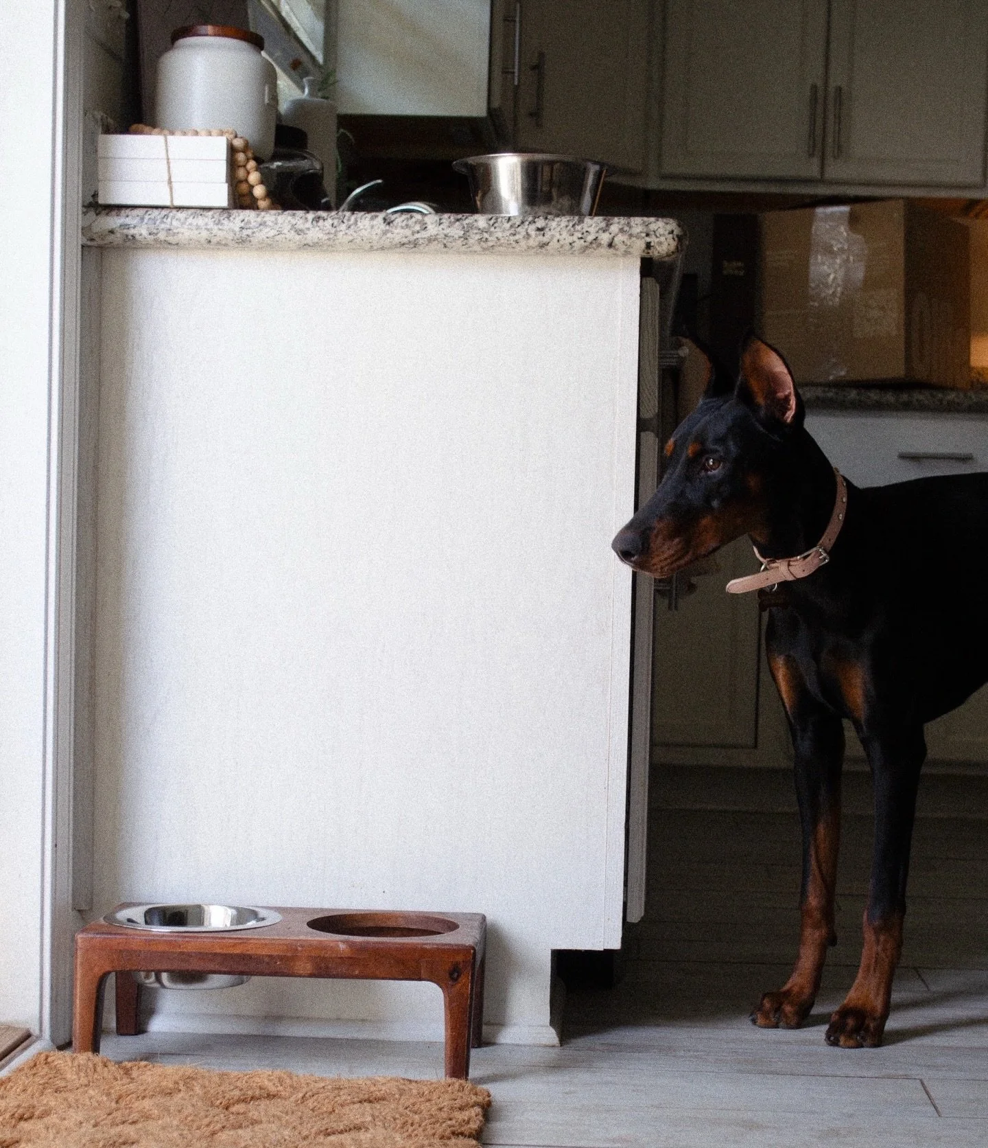 Somethings enter your life quietly.
Not announced. Just chosen.