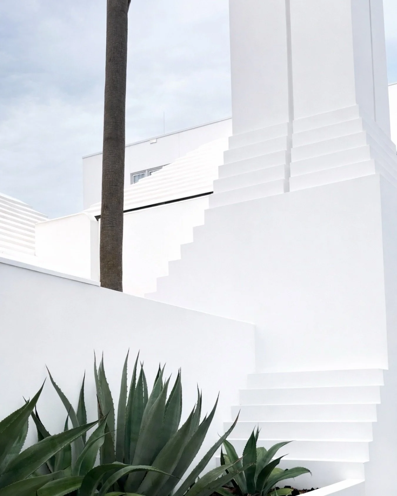 I look for light first,
Everything else follows.
That is the process.