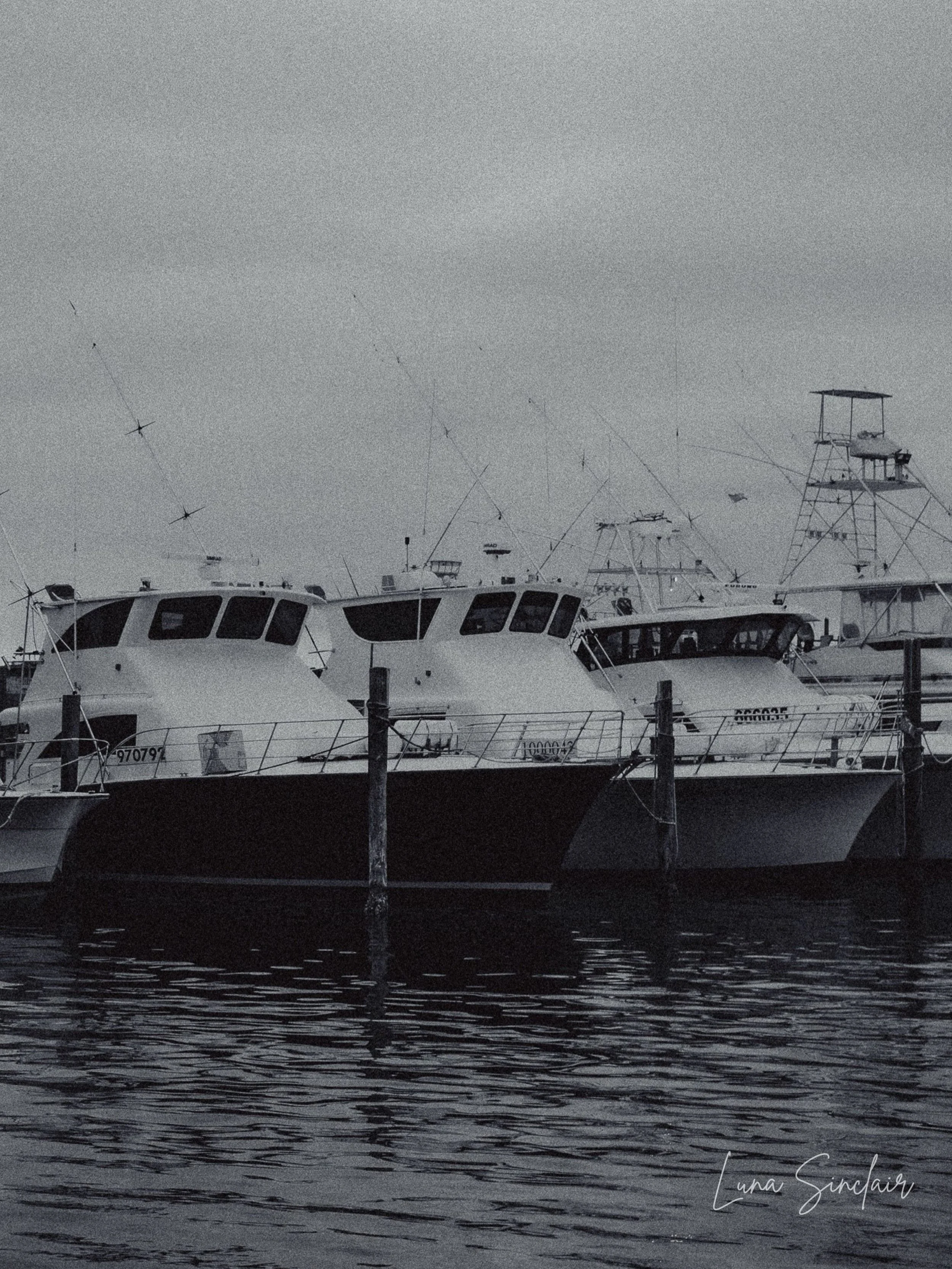 𝘙𝘦𝘱𝘦𝘵𝘪𝘵𝘪𝘰𝘯 𝘰𝘧 𝘗𝘶𝘳𝘱𝘰𝘴𝘦
Not all vessels rush.