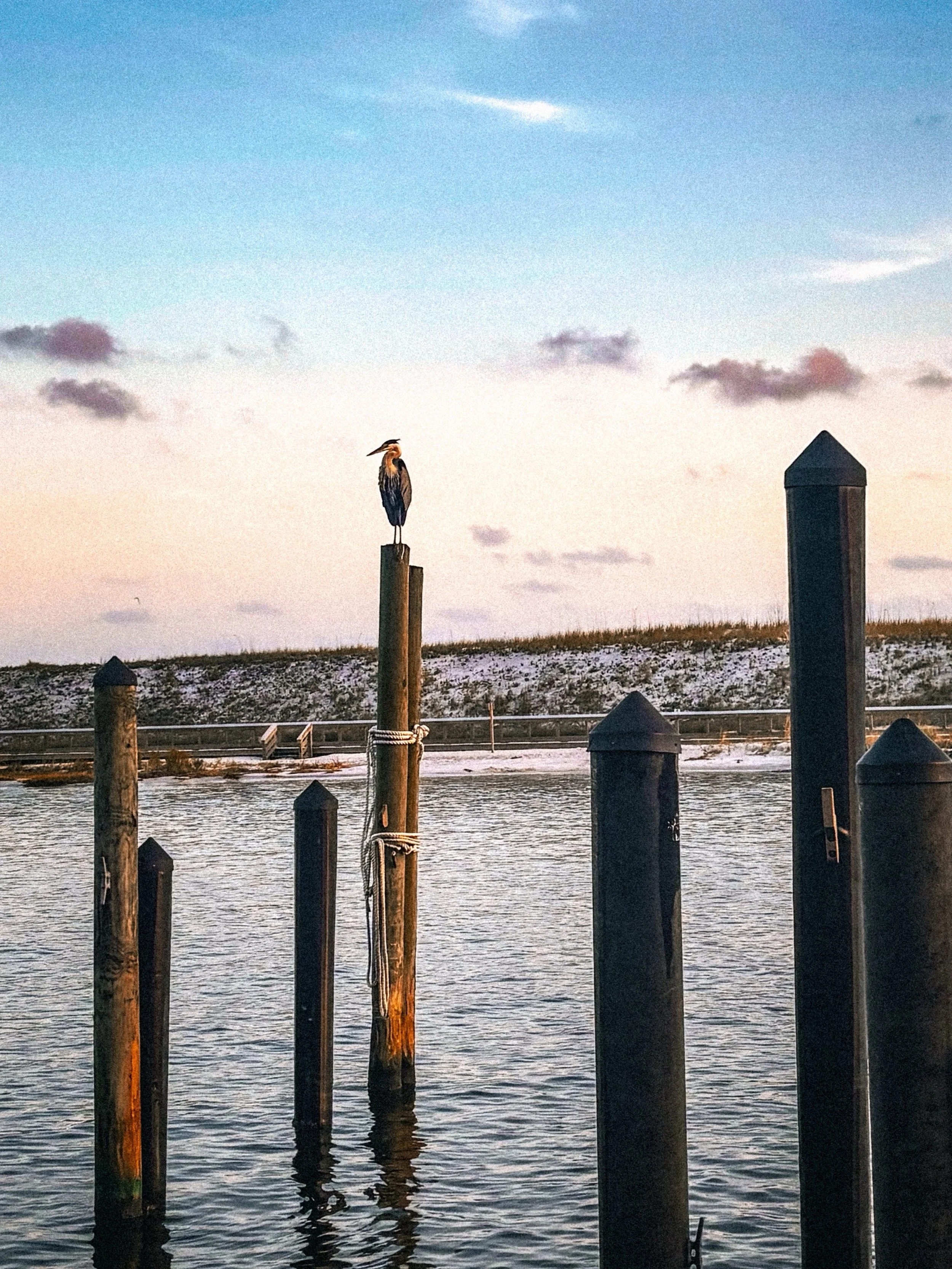 Not Every Post Is Occupied
𝘝𝘪𝘴𝘶𝘢𝘭 𝘴𝘵𝘶𝘥𝘺 #20 &mdash; 𝘓𝘶𝘯𝘢 𝘚𝘪𝘯𝘤𝘭𝘢𝘪𝘳

View the full study through our blog - THE JOURNAL, available from our profile.

#coastalphotography #docks #beachphotography #herons beachbirds