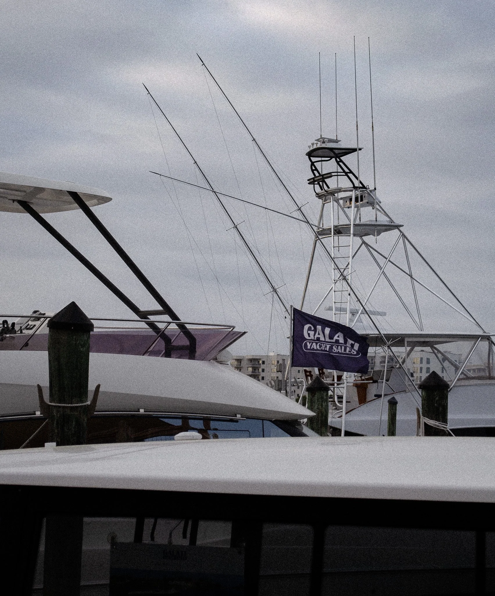 DSC_0080.jpg