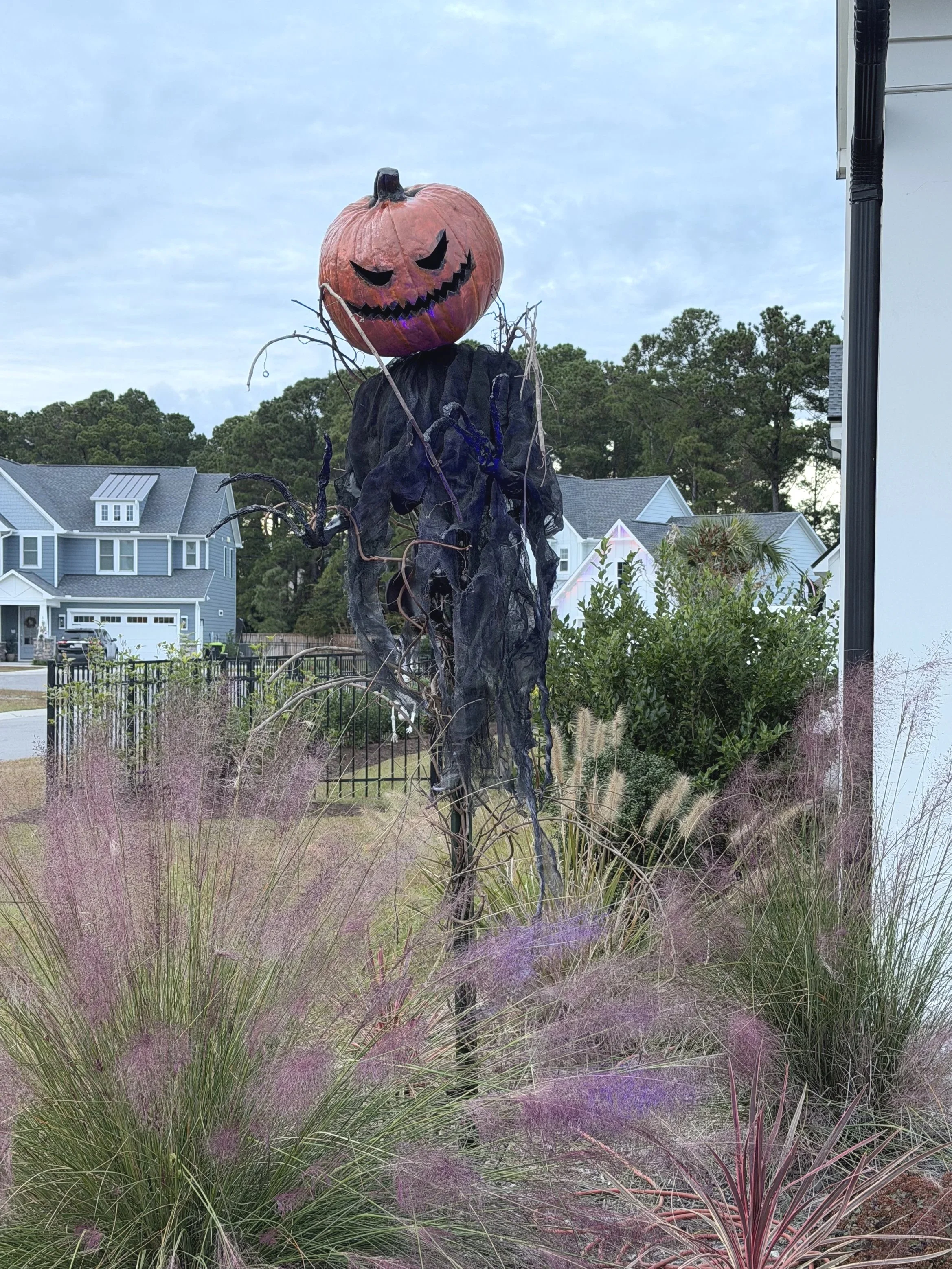 A Halloween decoration of a scarecrow with a pumpkin head, carved with a face, atop a black twisted tree trunk with fake branches, in a suburban yard with houses and trees in the background.