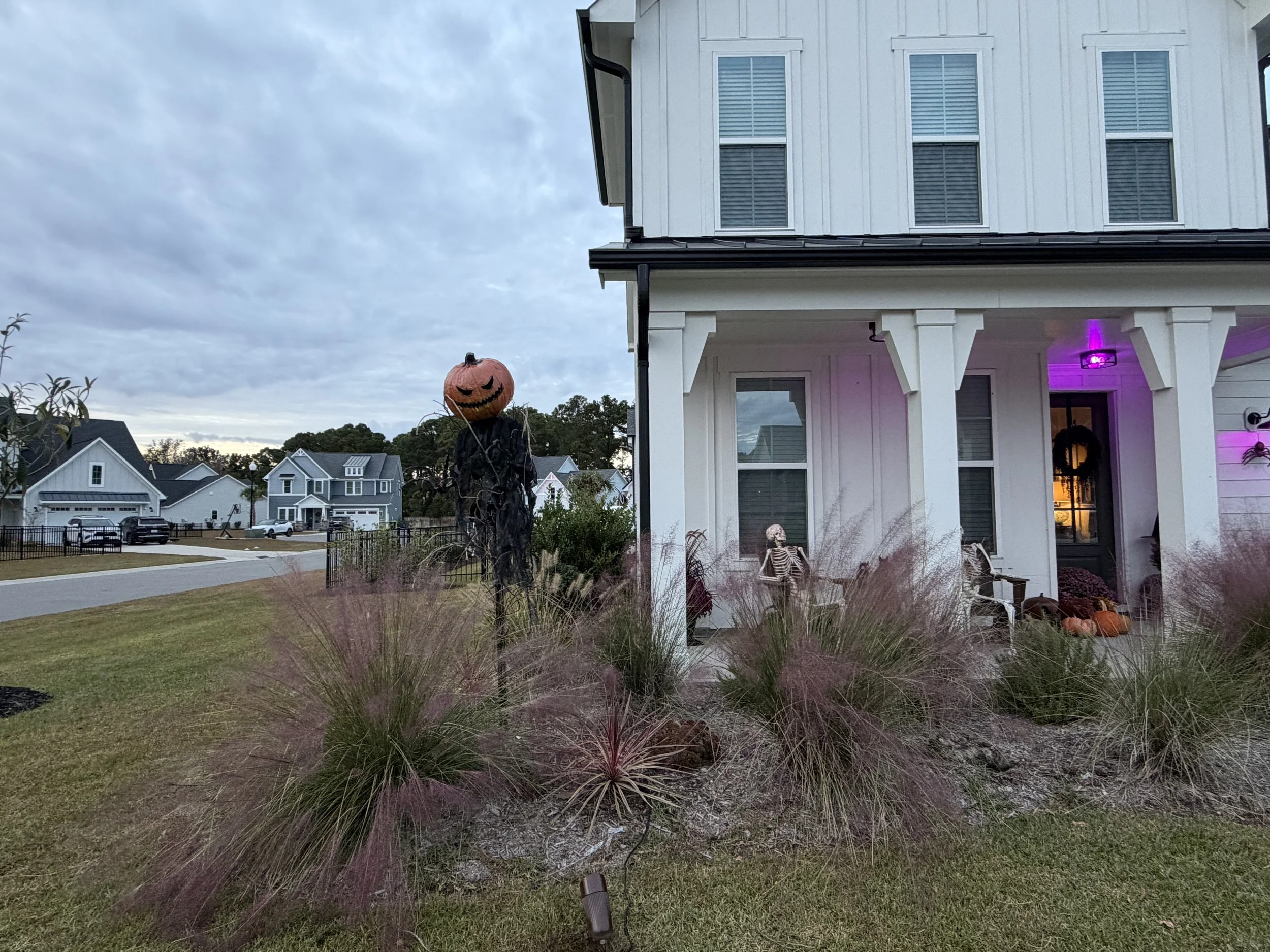 Front yard of a house decorated for Halloween with a pumpkin-headed scarecrow and skeletons, purple lights on porch, and ornamental grasses in the garden.