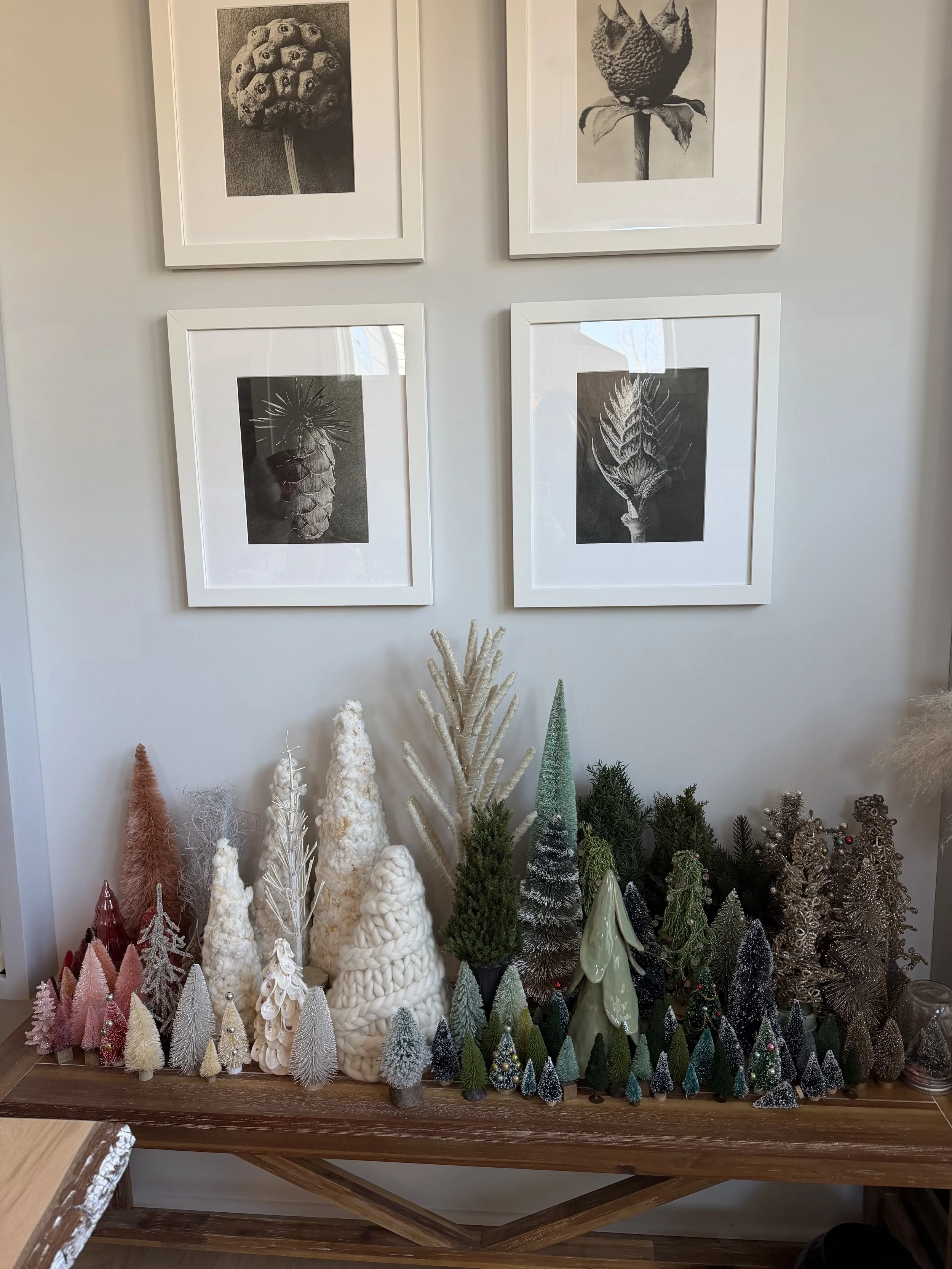 A collection of miniature Christmas trees in various colors, shapes, and textures is displayed on a wooden surface against a white wall. Framed black-and-white botanical prints hang above the display.