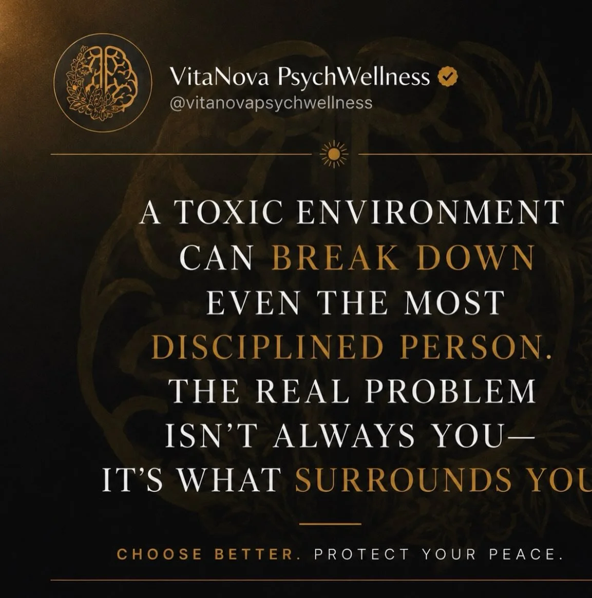 Toxic environment 

Not every symptom means you&rsquo;re the problem.

Sometimes anxiety is a nervous system responding exactly the way it was designed to.
Sometimes exhaustion is what happens when you&rsquo;ve been carrying too much for too long.
So