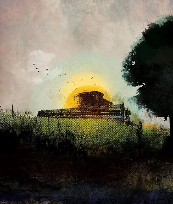 A silhouette of a farm tractor on a grassy hill at sunset, with birds flying in the sky and a large tree on the right.