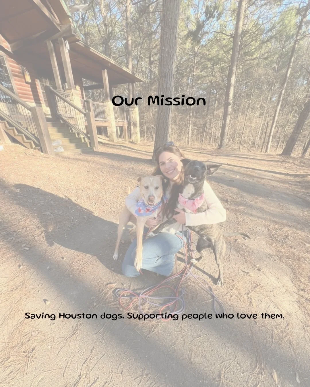 A little bit more about our mission and what makes Caro&rsquo;s Canines unique. 🐶