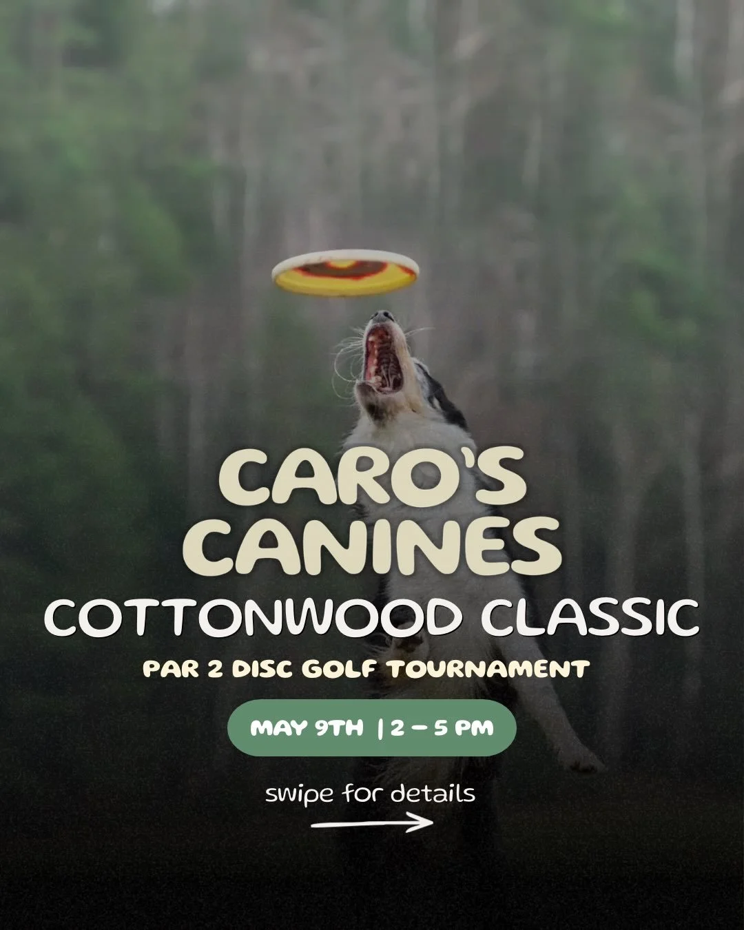 Our fundraiser is coming up on May 9th, and Mr. Caro&rsquo;s Canines is hosting a disc golf tournament during the event at @cottonwoodbar 💙

&ldquo;As part of Caro&rsquo;s Canines Rescue Inaugural Fundraiser, we will be having a Par 2 disc golf tour