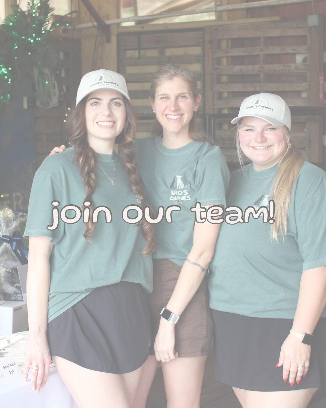 💙join the Caro&rsquo;s Canines Rescue team💚

As our operations have ramped up, our team is growing!! We are looking for dedicated, organized and creative volunteers to fill three roles. 

🏠 Foster Coordinator: match dogs to foster homes &amp; supp