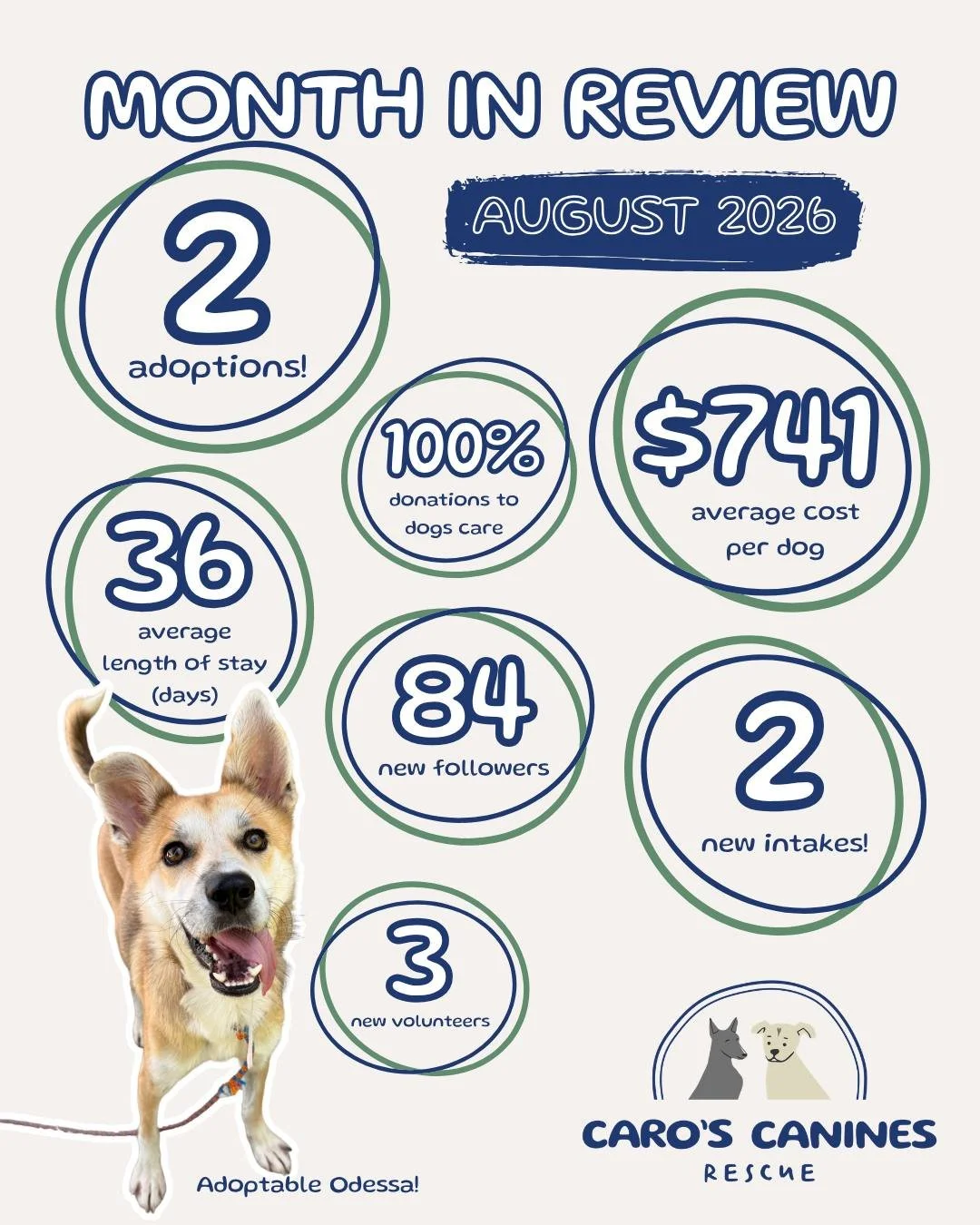 It's here! August by the numbers!! 

This past month brought 2 adoptions (YAY Iggy &amp; Ella!), 2 new intakes, 3 new volunteers, and 84 new friends supporting our mission!

Every follow, share, donation, foster &amp; adoption helps us keep saying YE
