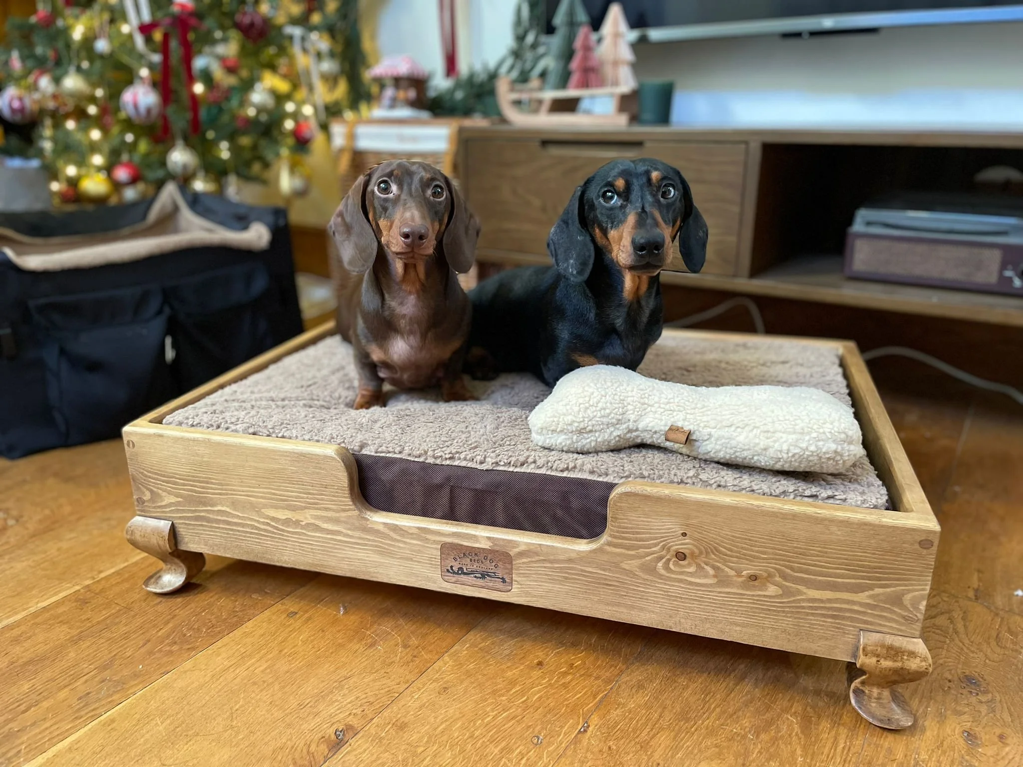 Dachshund in pine "Duke" size small finished in "dark"