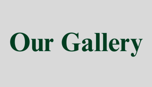Text reading 'Our Gallery' on a light gray background
