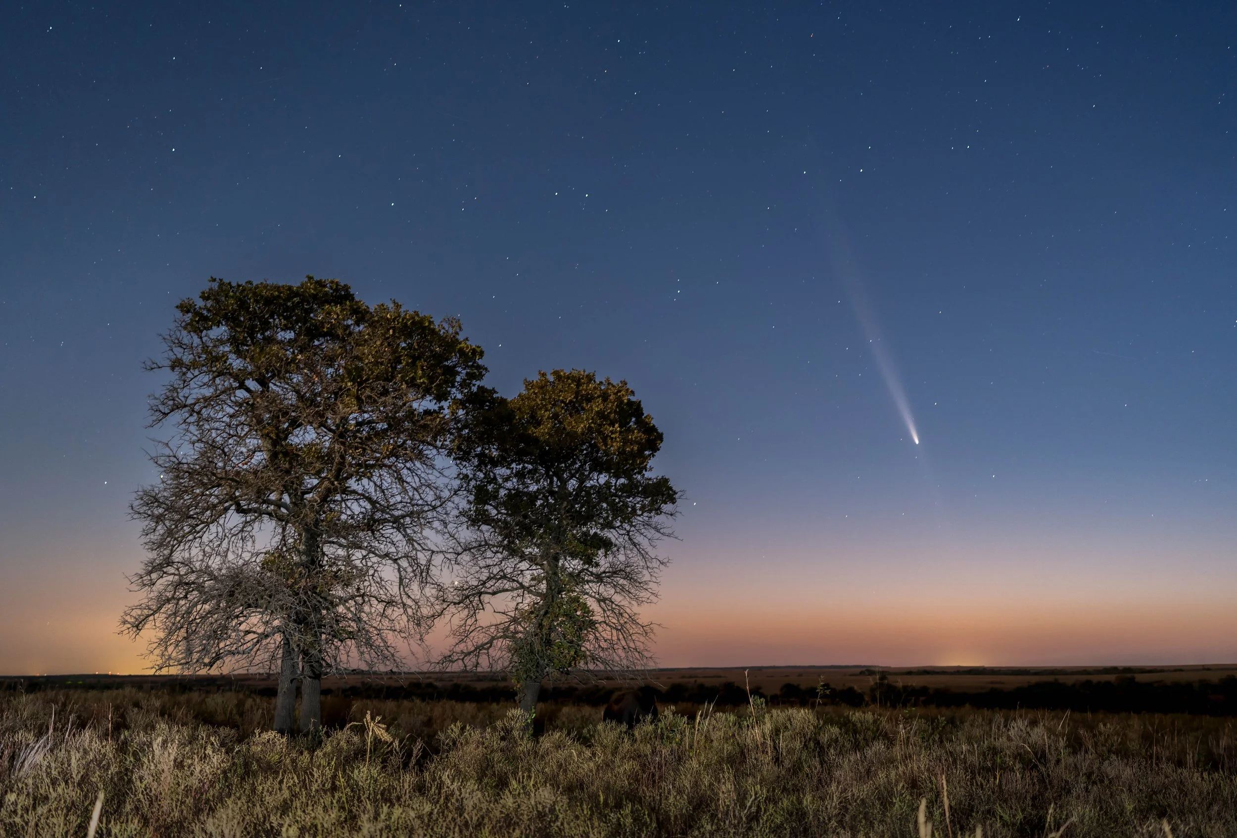 DSC08270-Edit-Edit-Edit.jpg