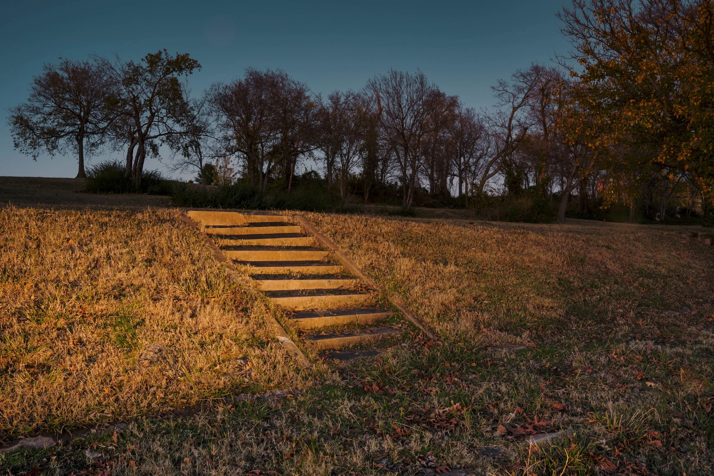 DSC08904-Edit-Edit.jpg
