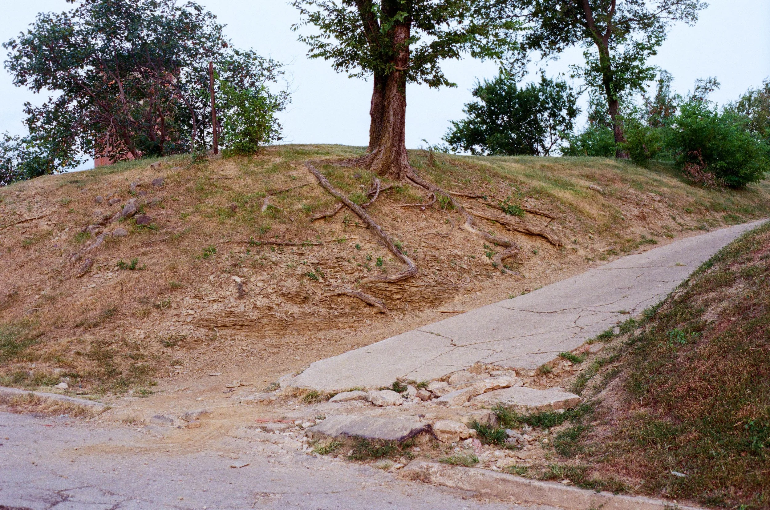000547630004.jpg